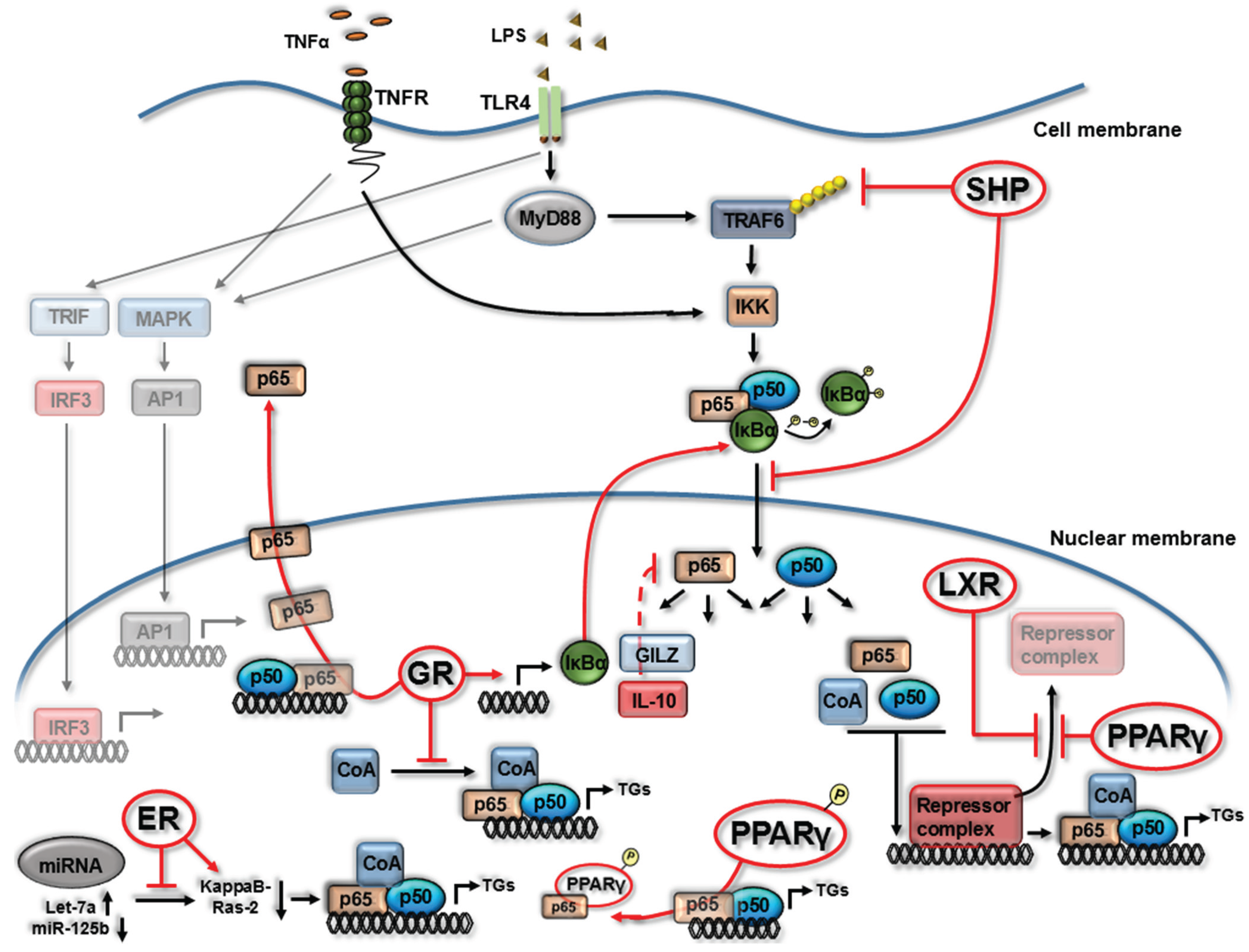 Biomolecules 05 01302 g001