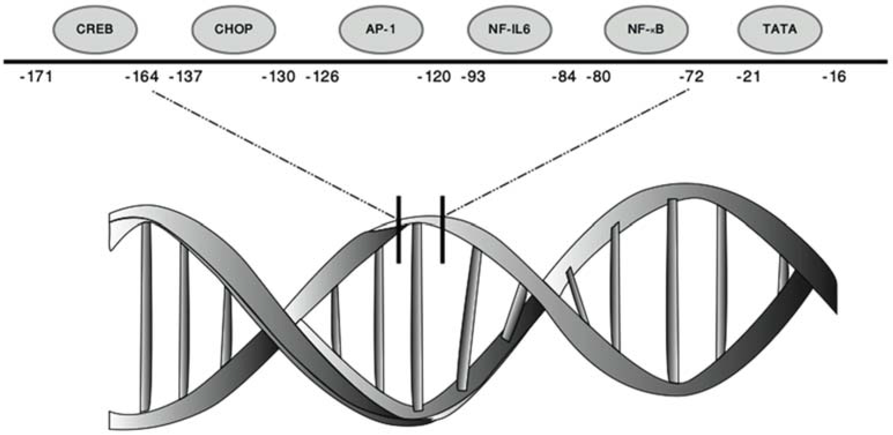 Biomolecules 05 01386 g001