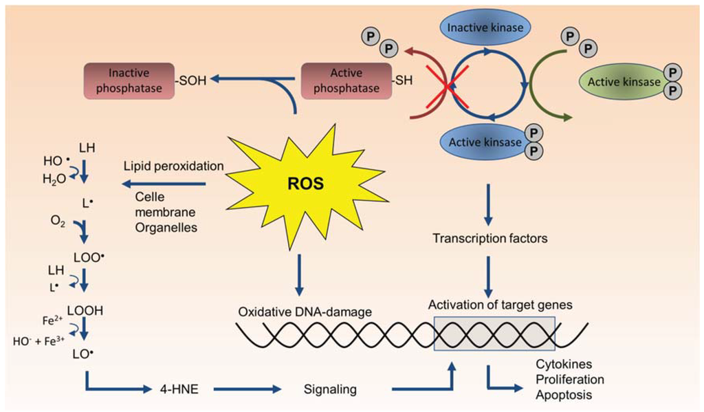 reactivity effects reactivity effects