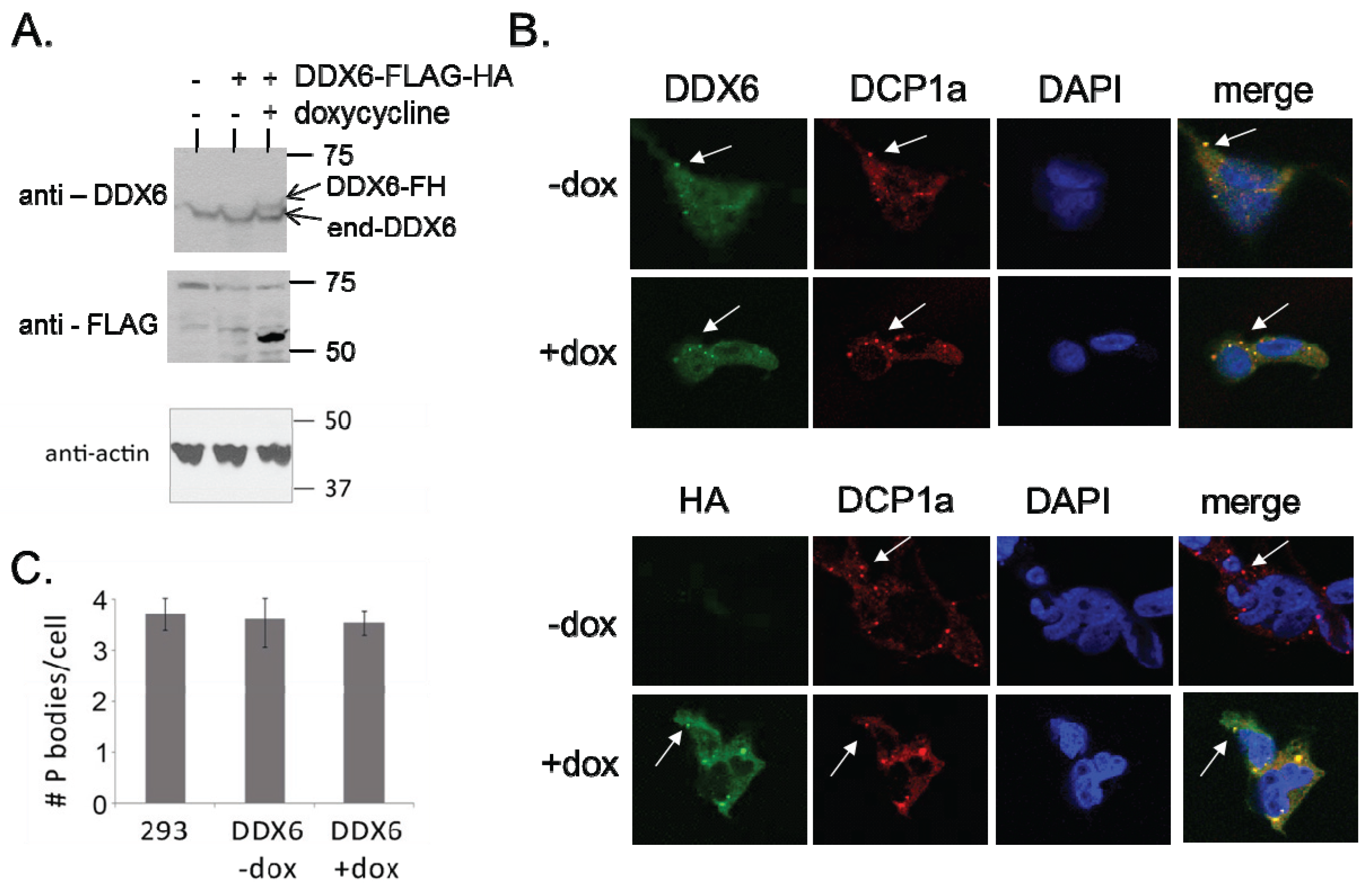 Biomolecules 05 01441 g001