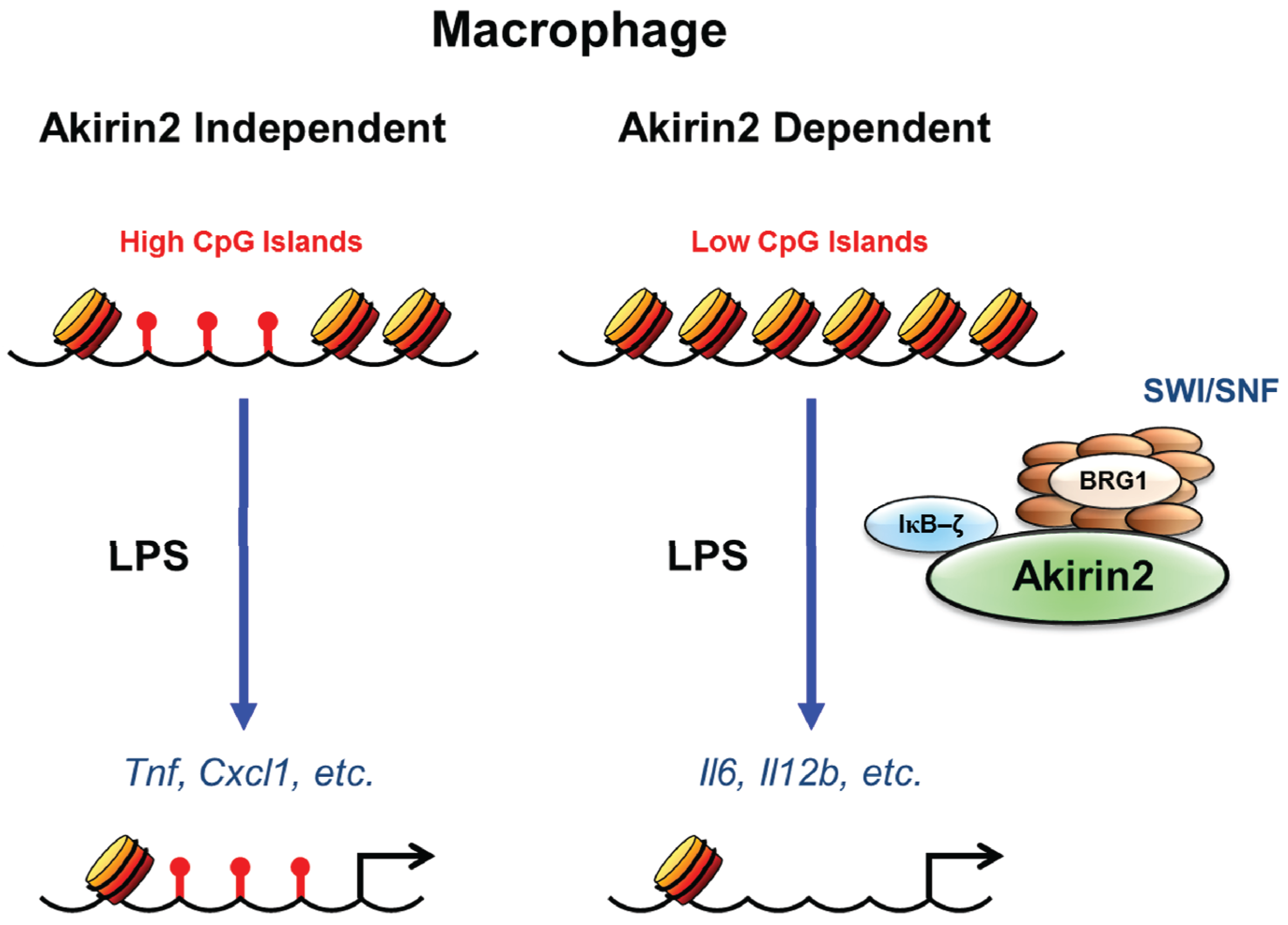 Biomolecules 05 01618 g002