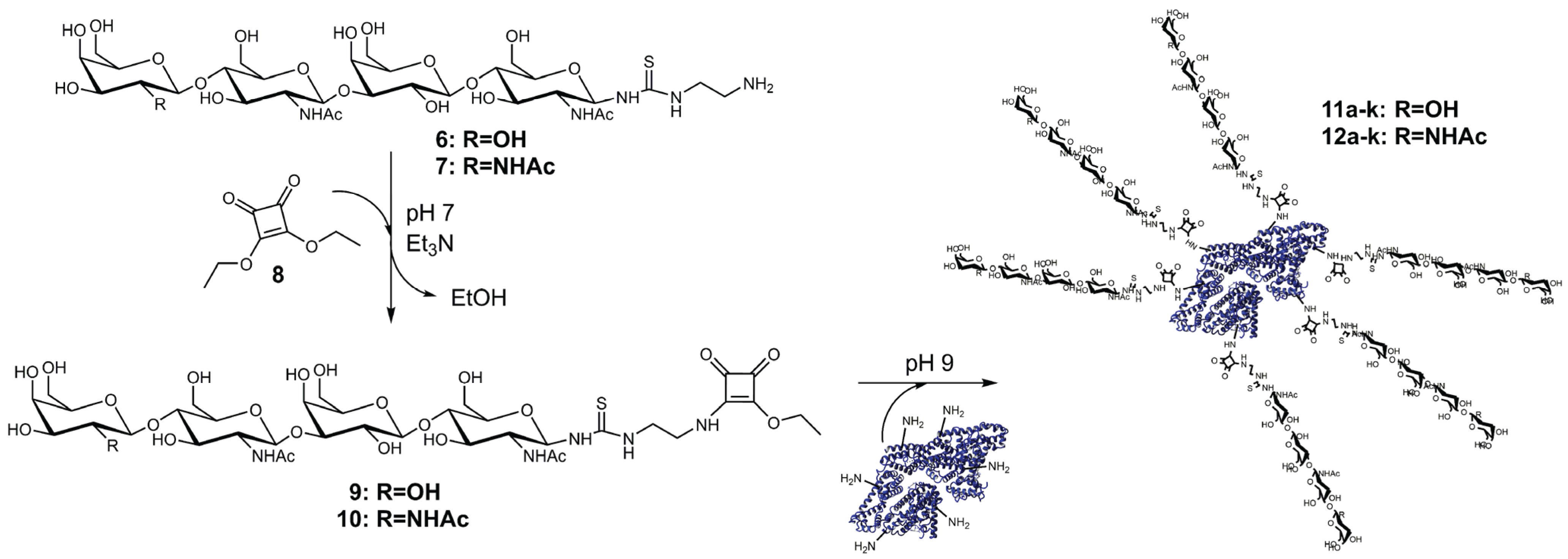 Biomolecules 05 01671 g009