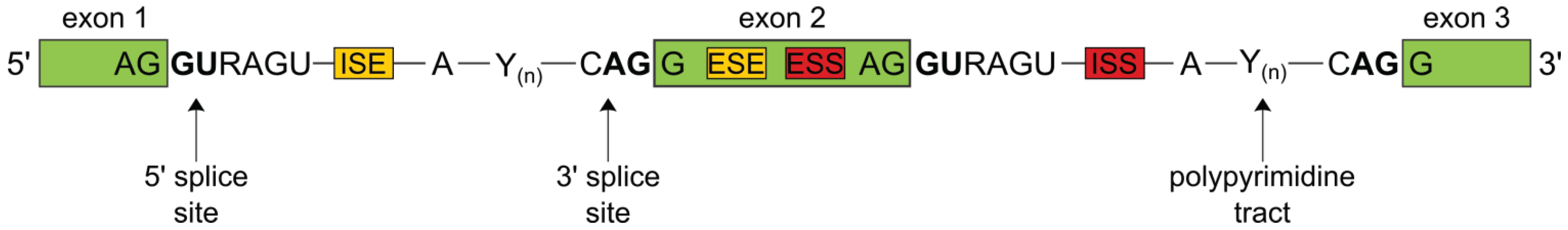 Biomolecules 05 01717 g001