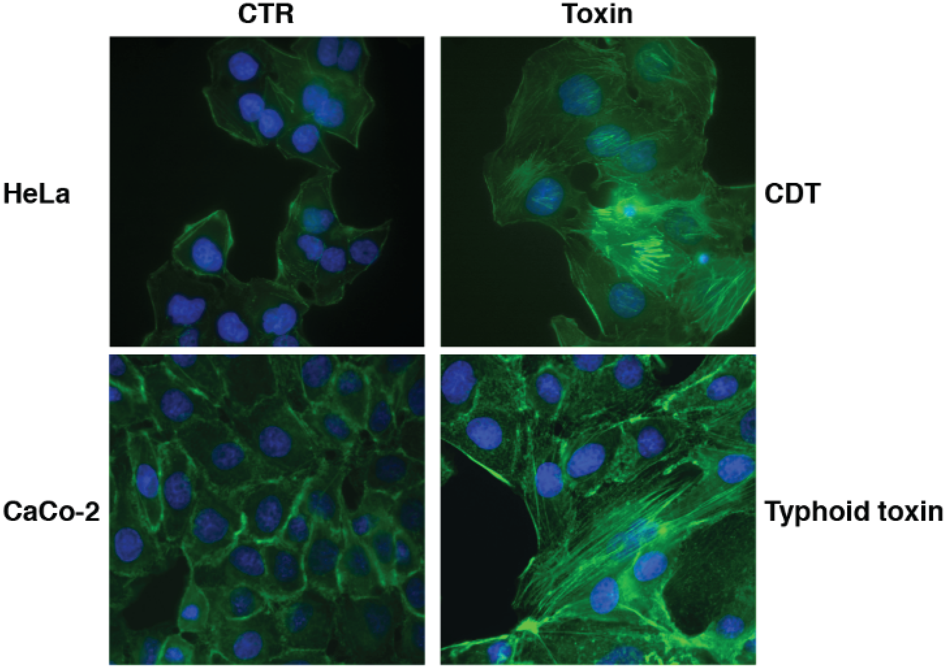 Biomolecules 05 01762 g003
