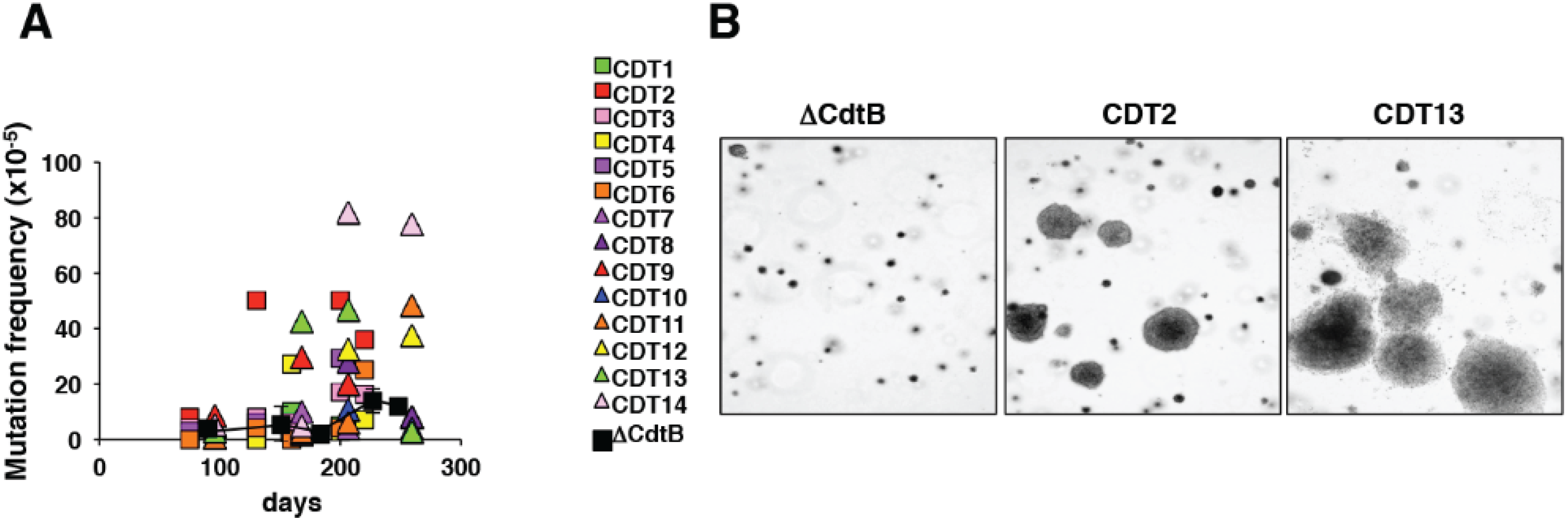 Biomolecules 05 01762 g005