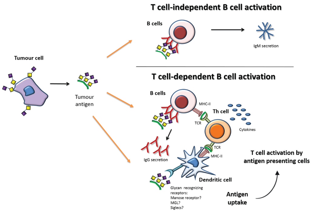 Biomolecules 05 01783 g002 1024