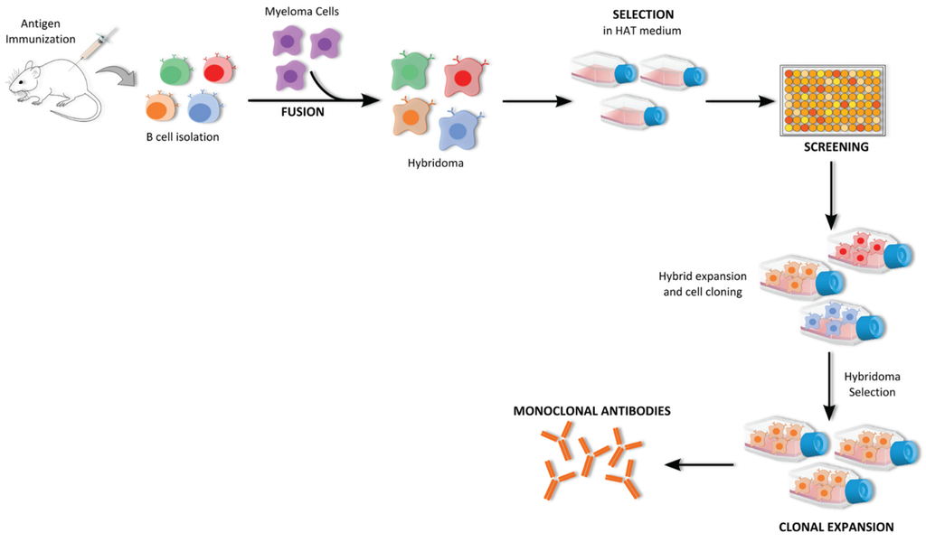 Biomolecules 05 01783 g005 1024