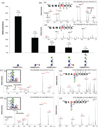 Biomolecules Free Full Text Complementary Lc Ms Ms Based N Glycan N Glycopeptide And Intact N Glycoprotein Profiling Reveals Unconventional Asn71 Glycosylation Of Human Neutrophil Cathepsin G Html