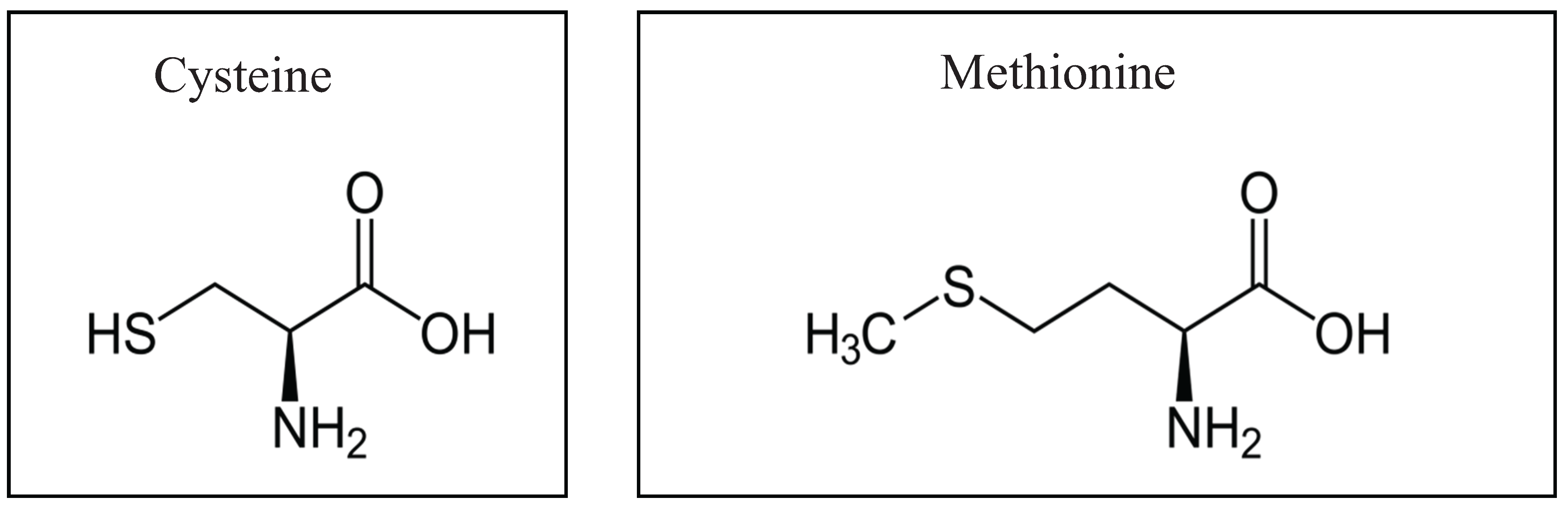 Метионин какая аминокислота. Формула цистеина аминокислоты. Метионин и цистеин. Цистеин и метионин формула. Цистеин цистин метионин.