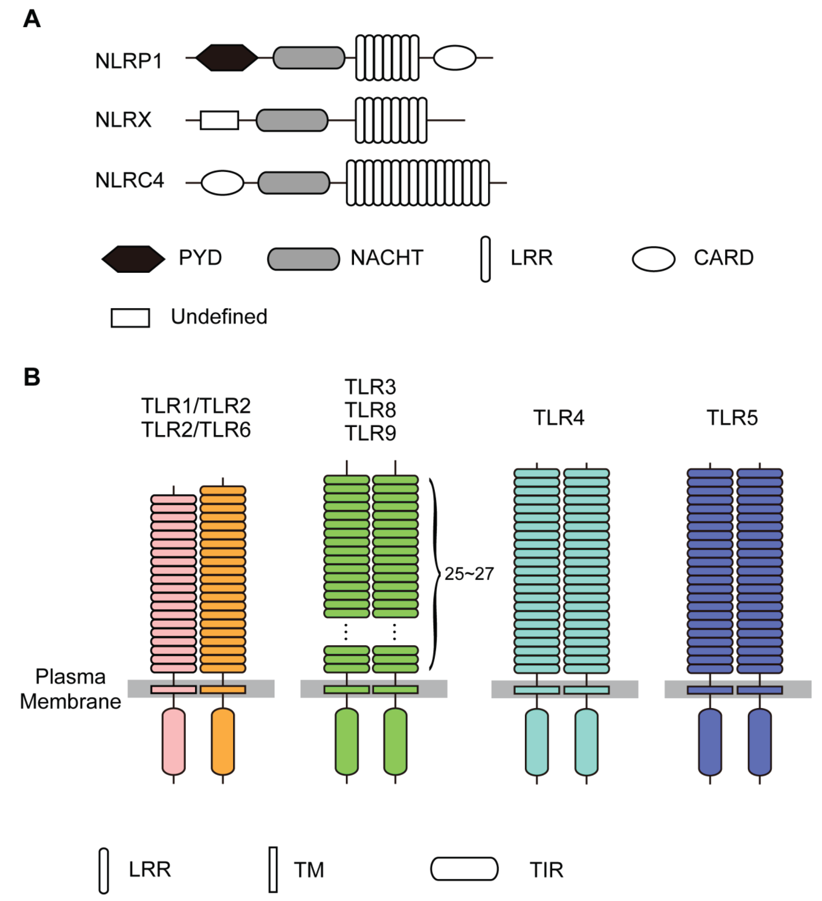 Biomolecules 05 01955 g001 1024