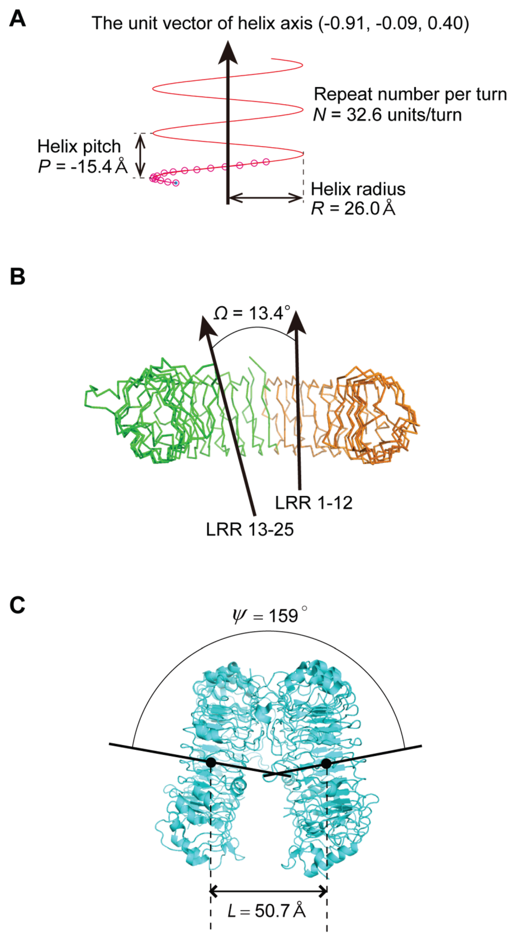Biomolecules Free Full Text Comparative Geometrical Analysis Of Leucine Rich Repeat Structures In The Nod Like And Toll Like Receptors In Vertebrate Innate Immunity Html