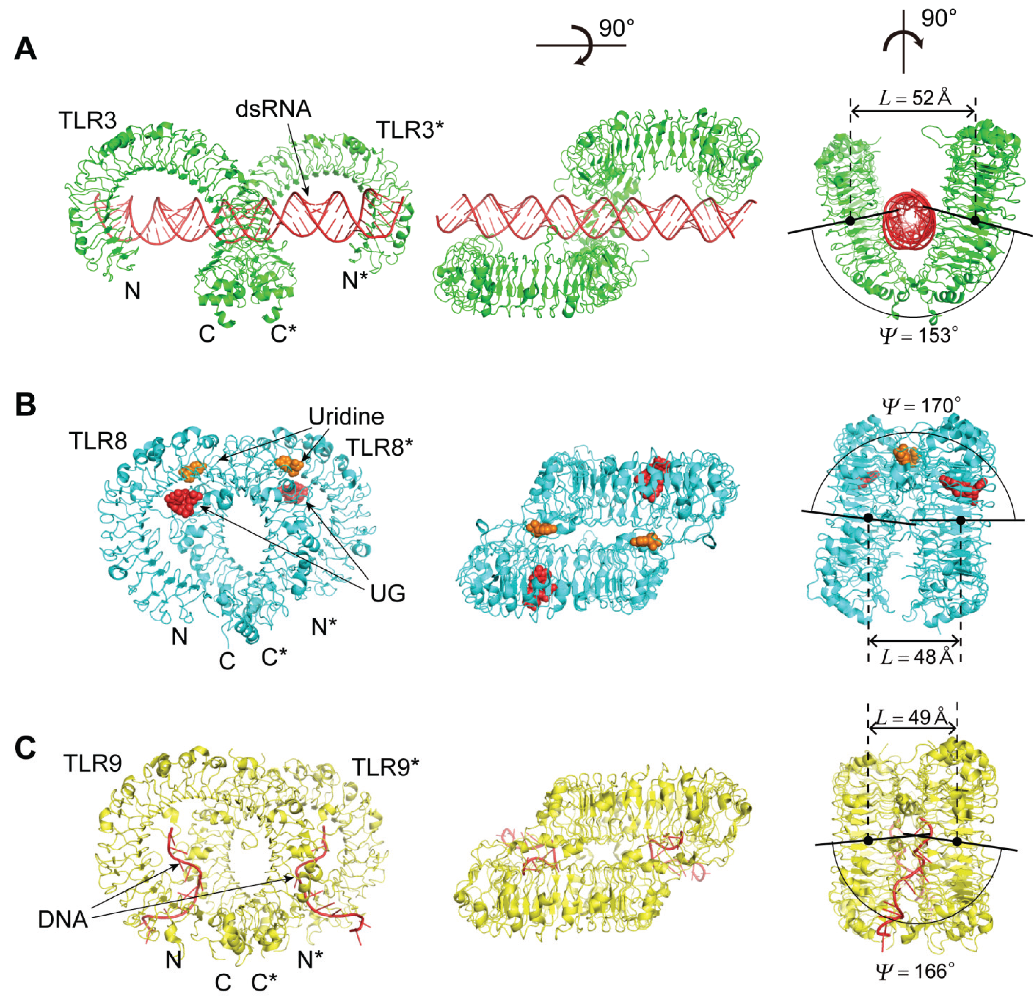 Biomolecules 05 01955 g006a 1024