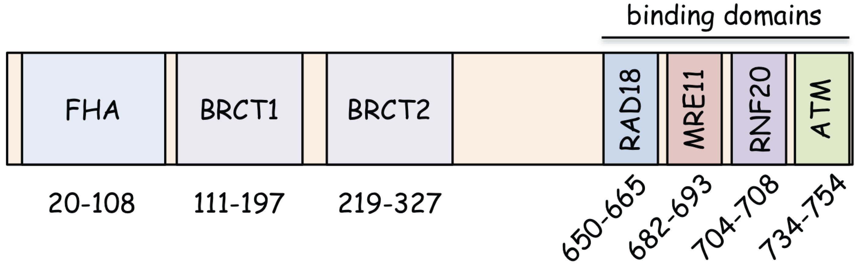 Biomolecules 05 01990 g001