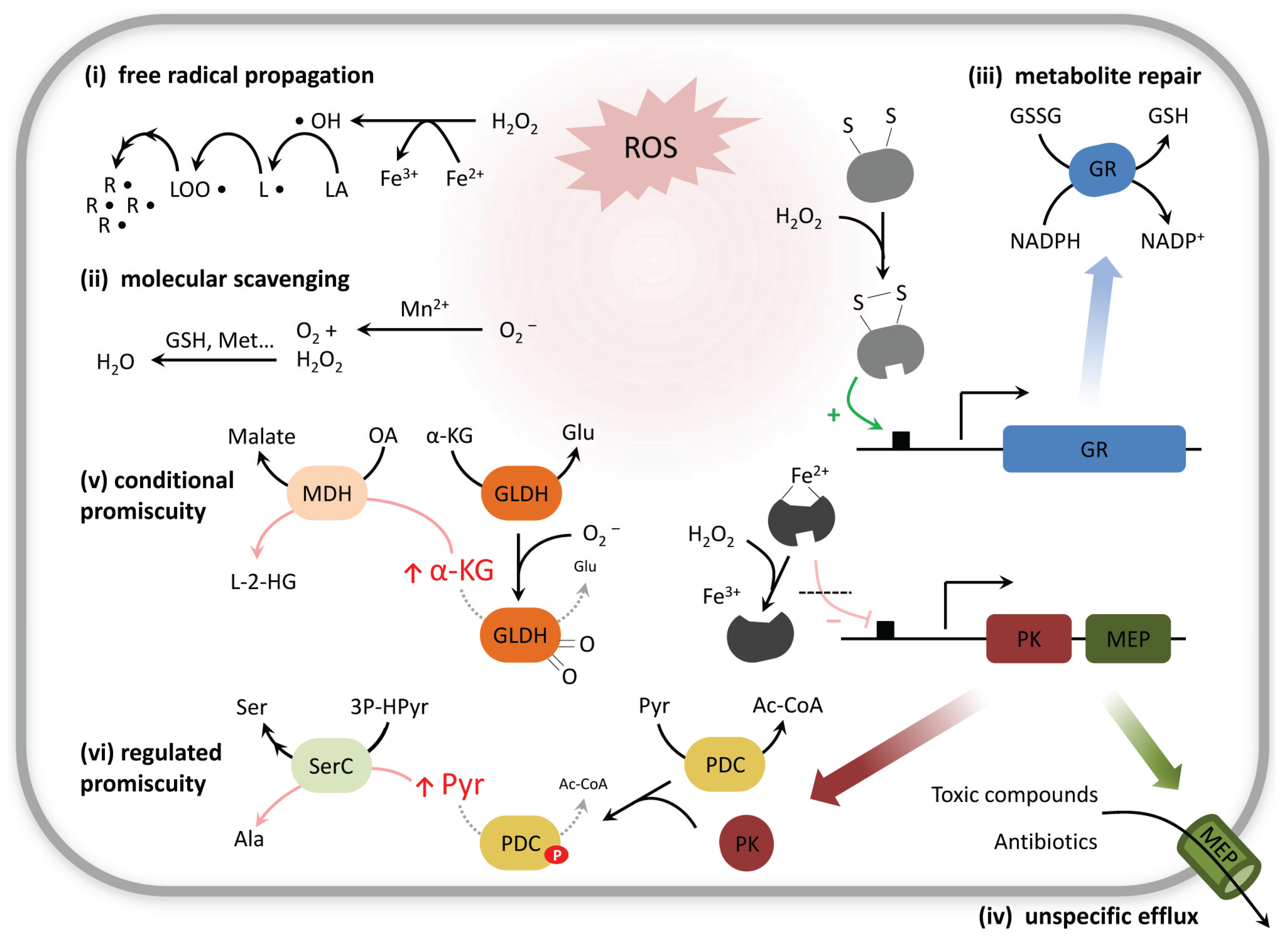 Why would testing for biomolecules be beneficial picture