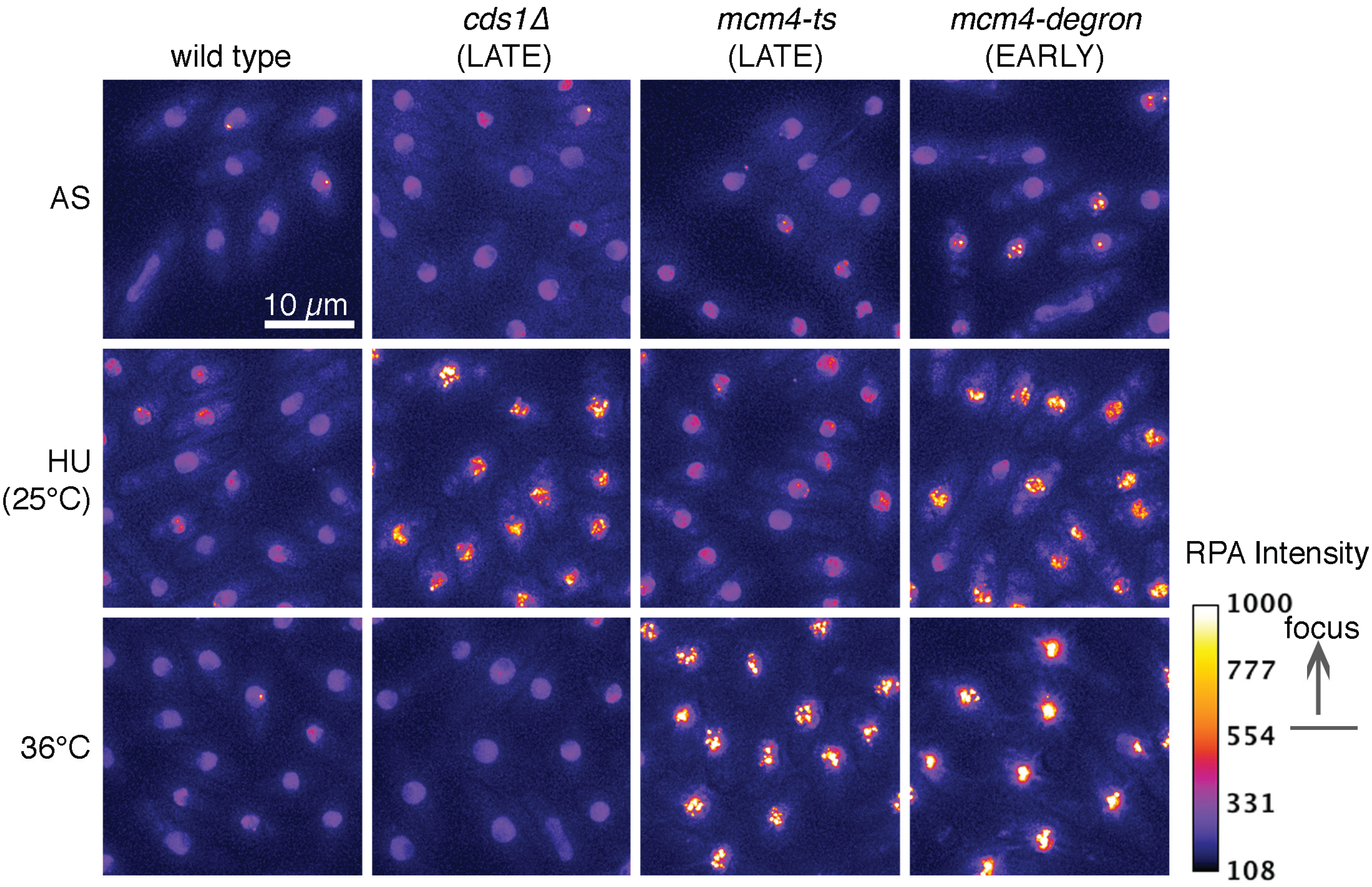 Biomolecules 05 02123 g002