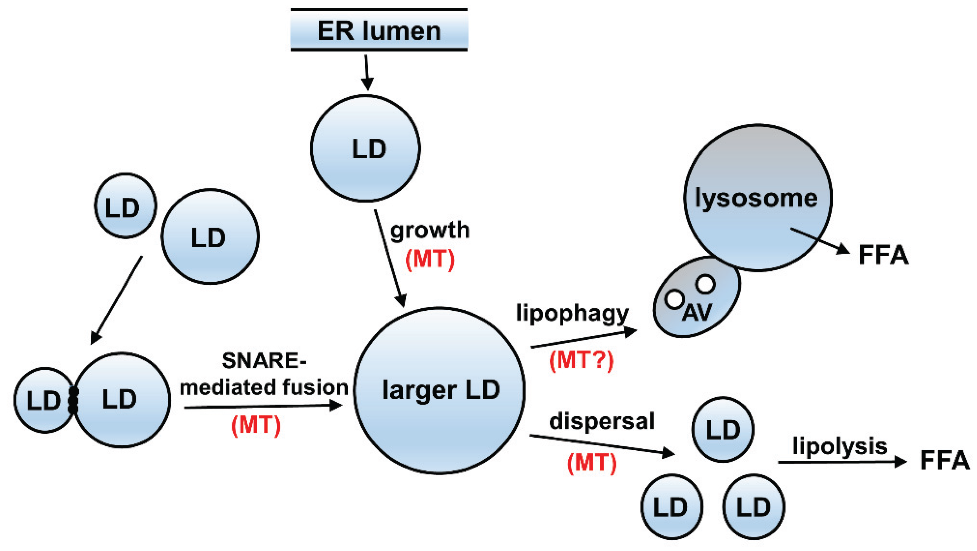 Biomolecules 05 02140 g003