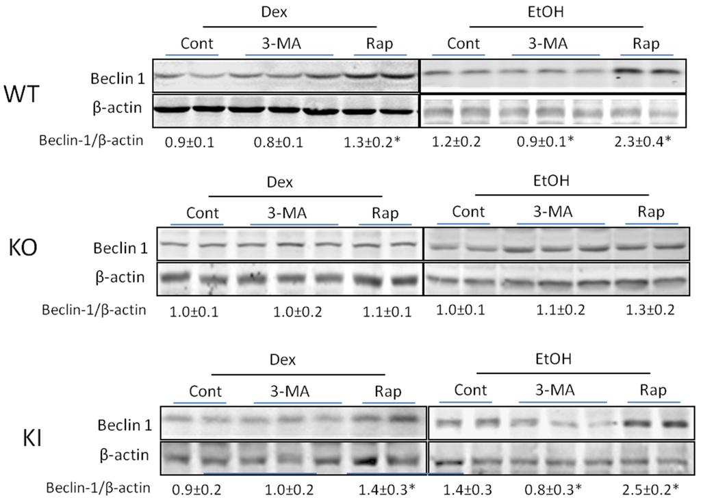 Biomolecules 05 02659 g005 1024