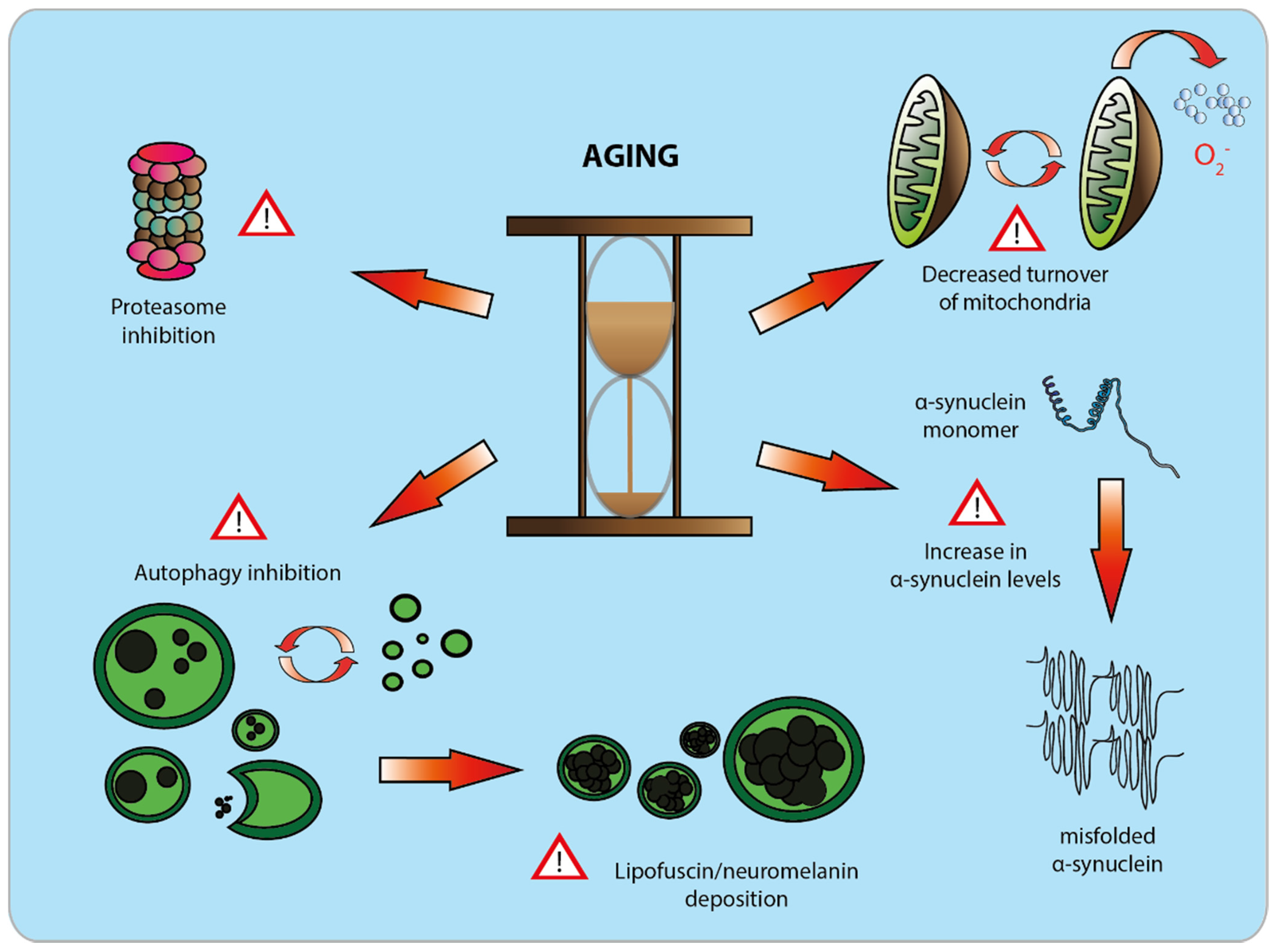 Biomolecules 05 02675 g002