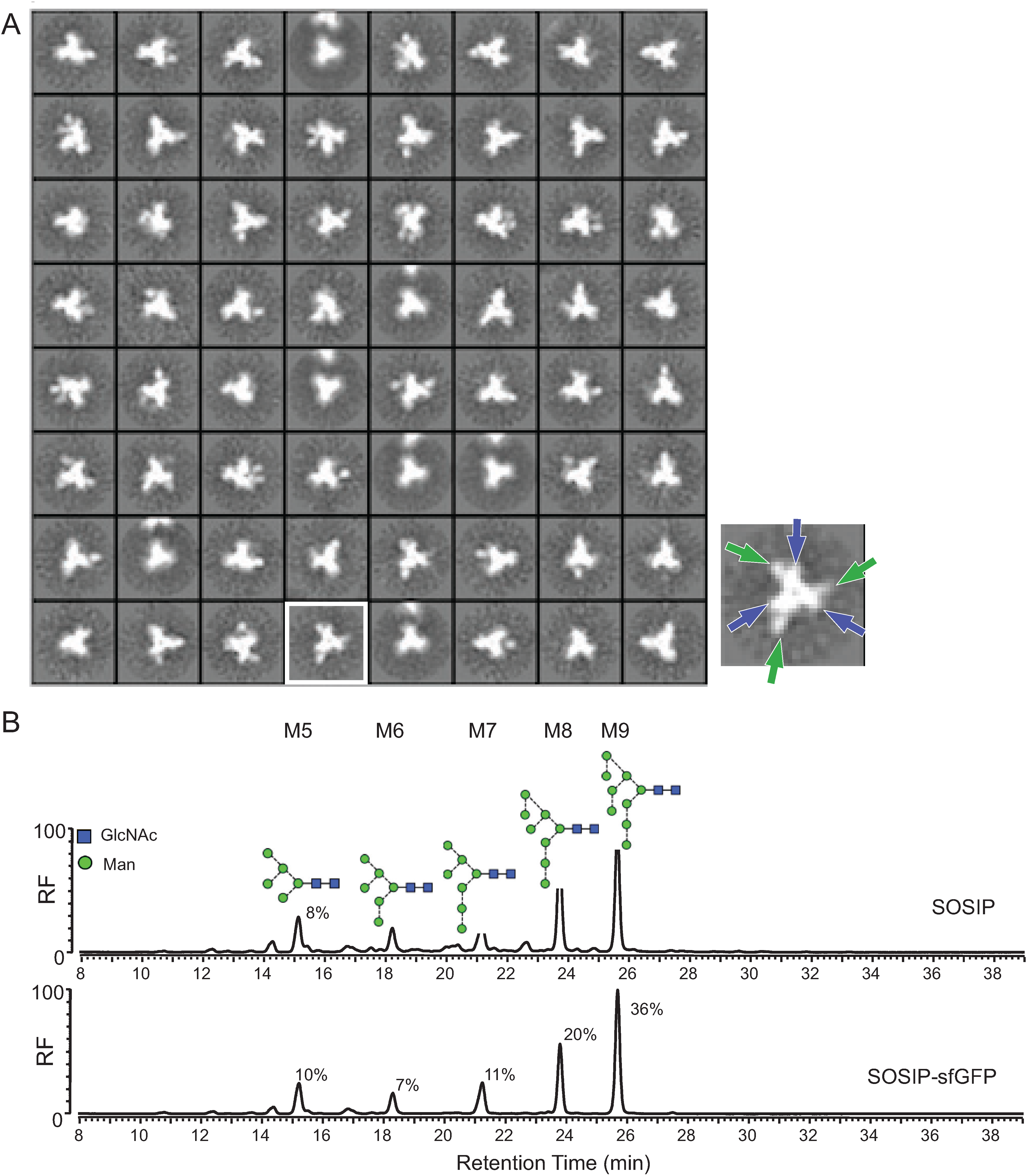 Biomolecules 05 02919 g003 1024