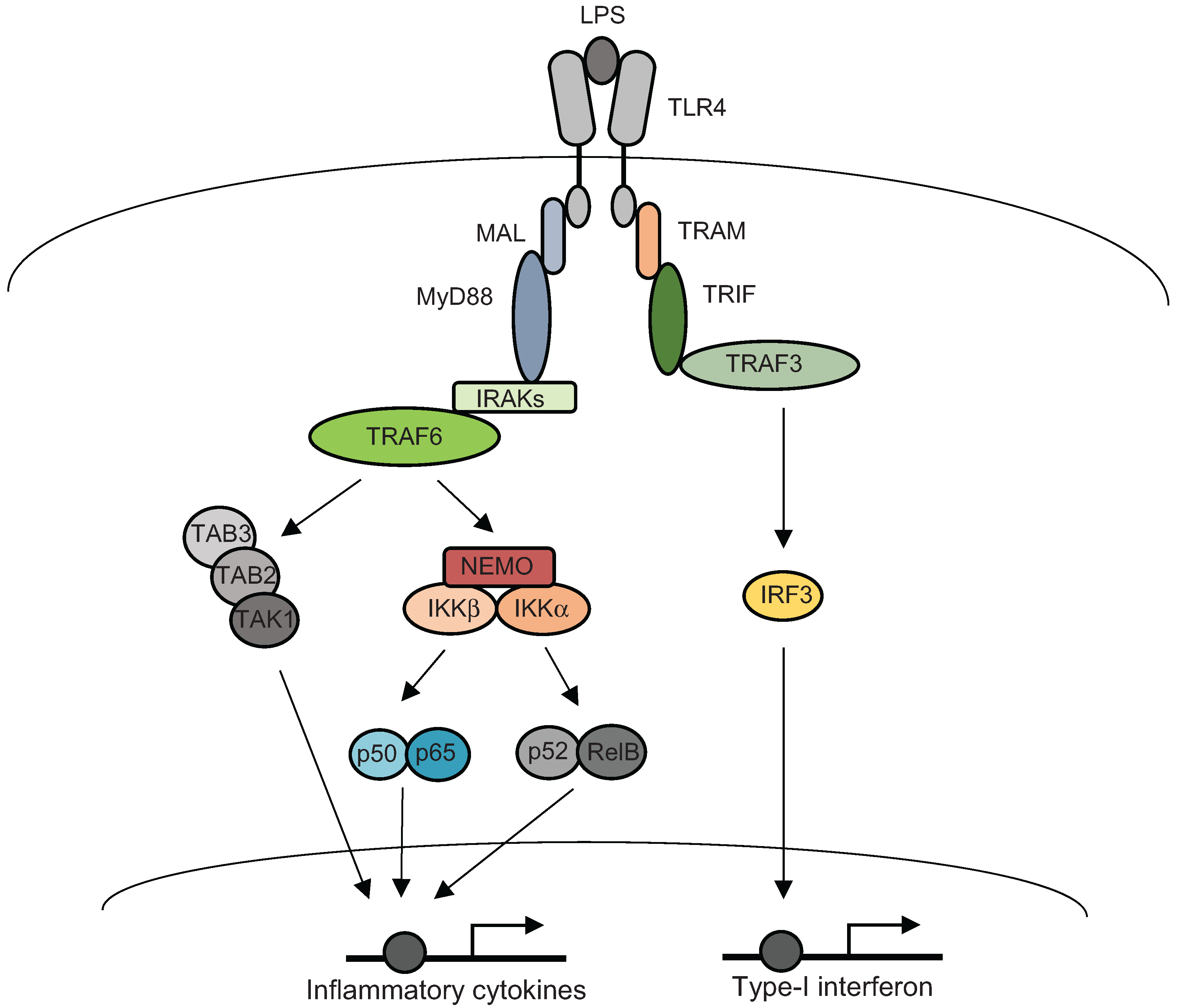 Biomolecules 05 03087 g001