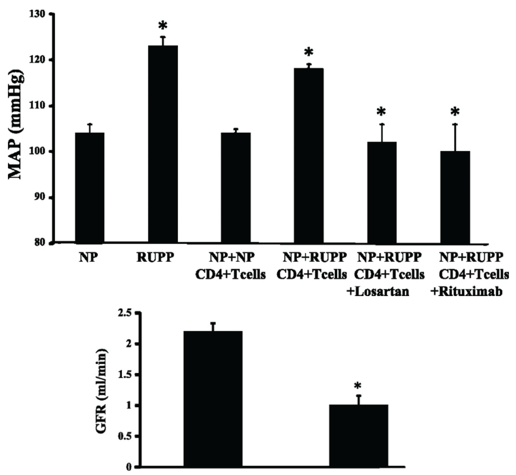 Biomolecules 05 03142 g008 1024