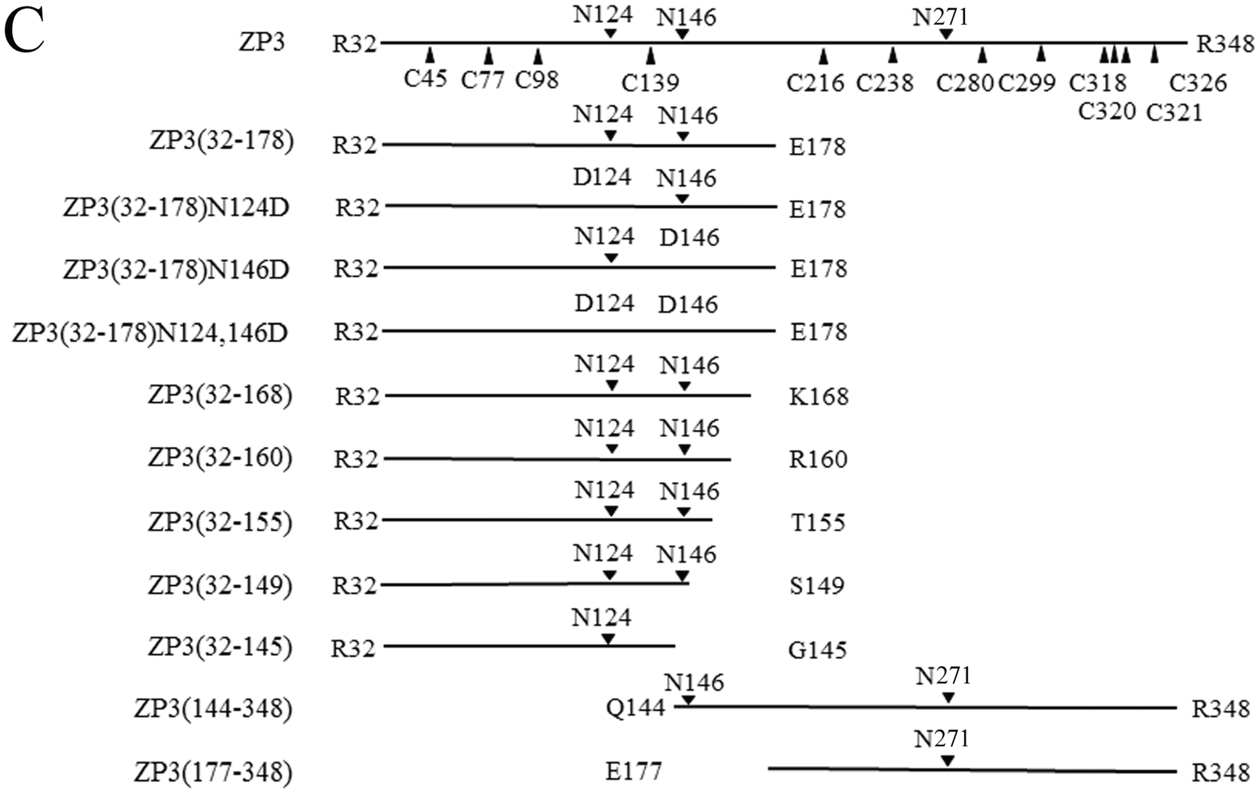 Biomolecules 05 03339 g001b 1024