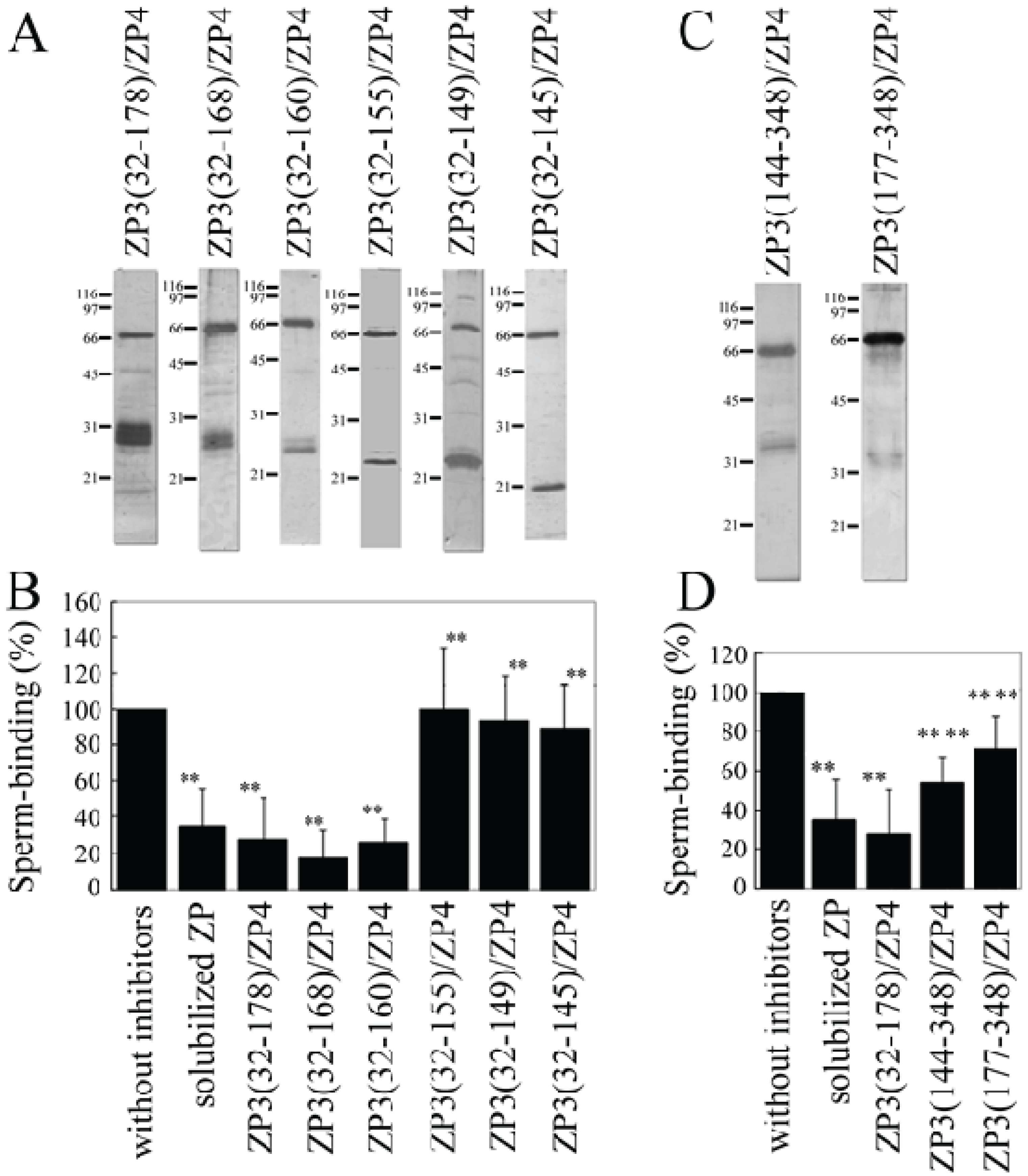 Biomolecules 05 03339 g003 1024