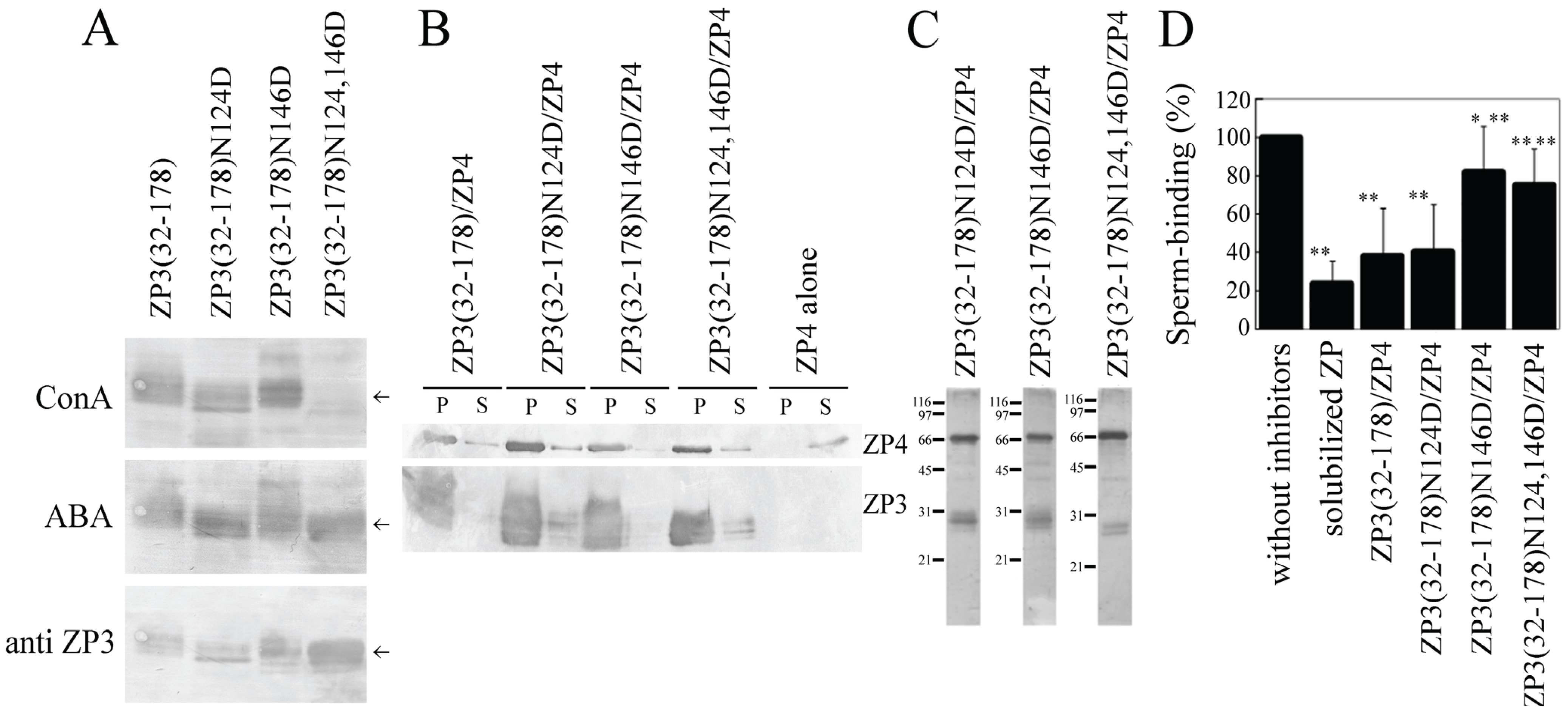 Biomolecules 05 03339 g004 1024