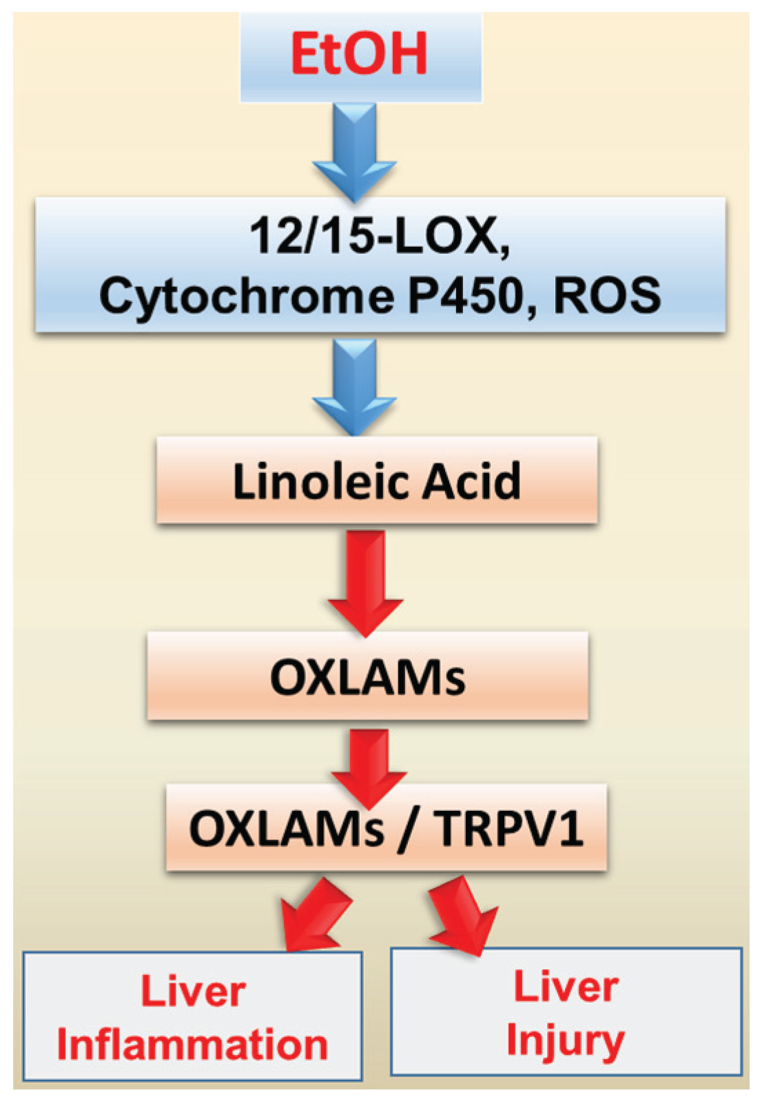 Biomolecules 06 00001 g003