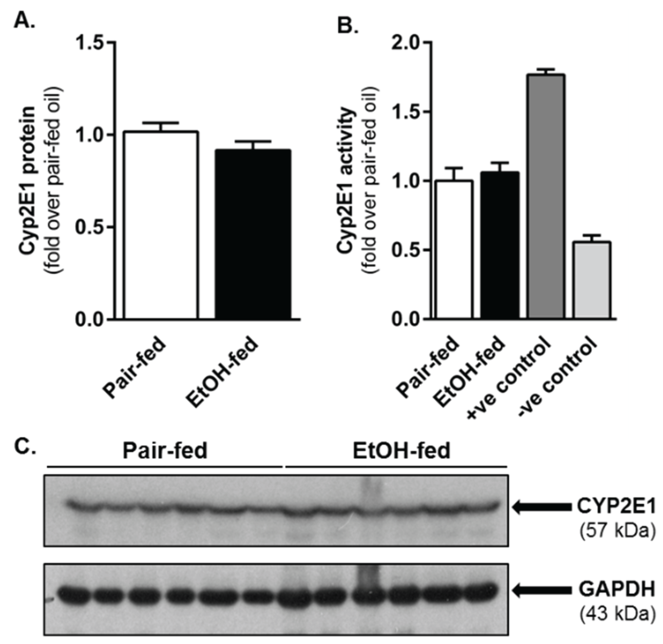 Biomolecules 06 00005 g001