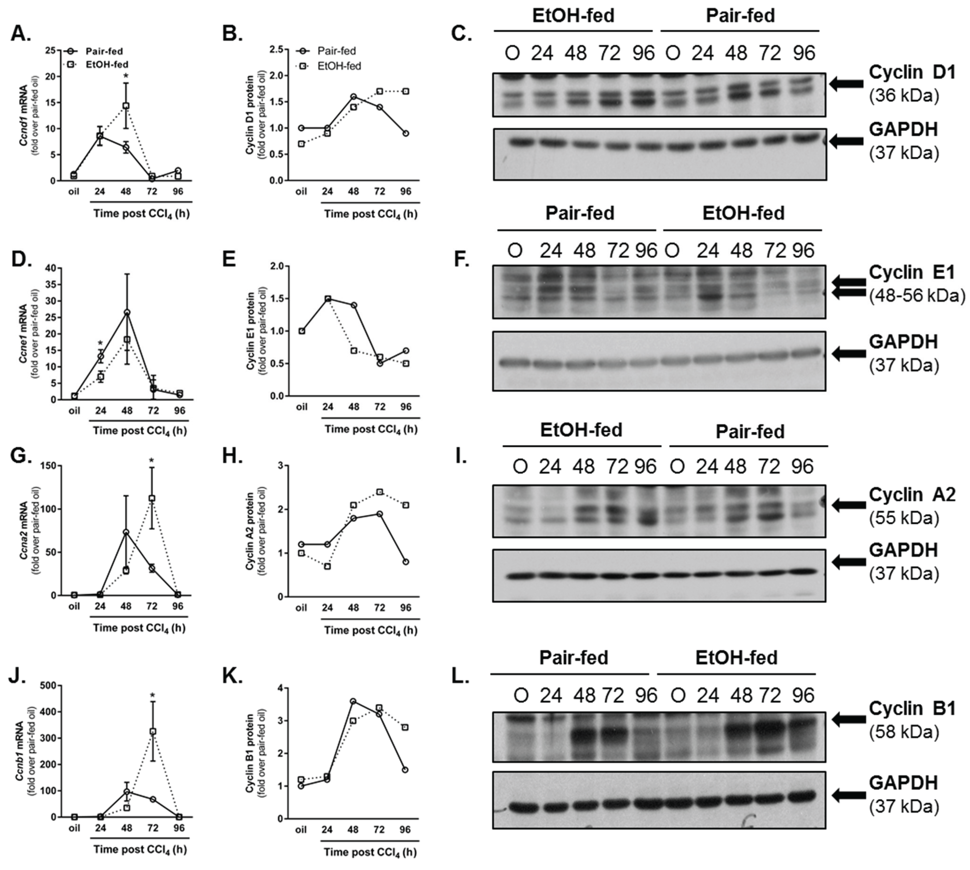 Biomolecules 06 00005 g006