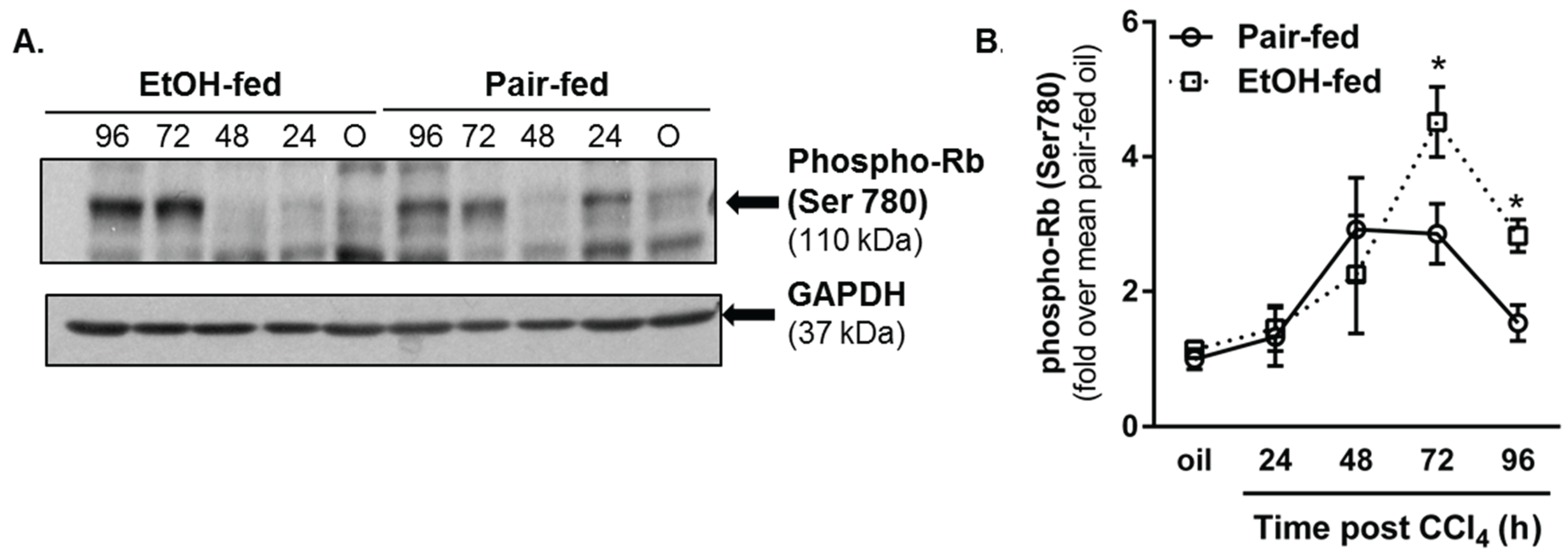 Biomolecules 06 00005 g007
