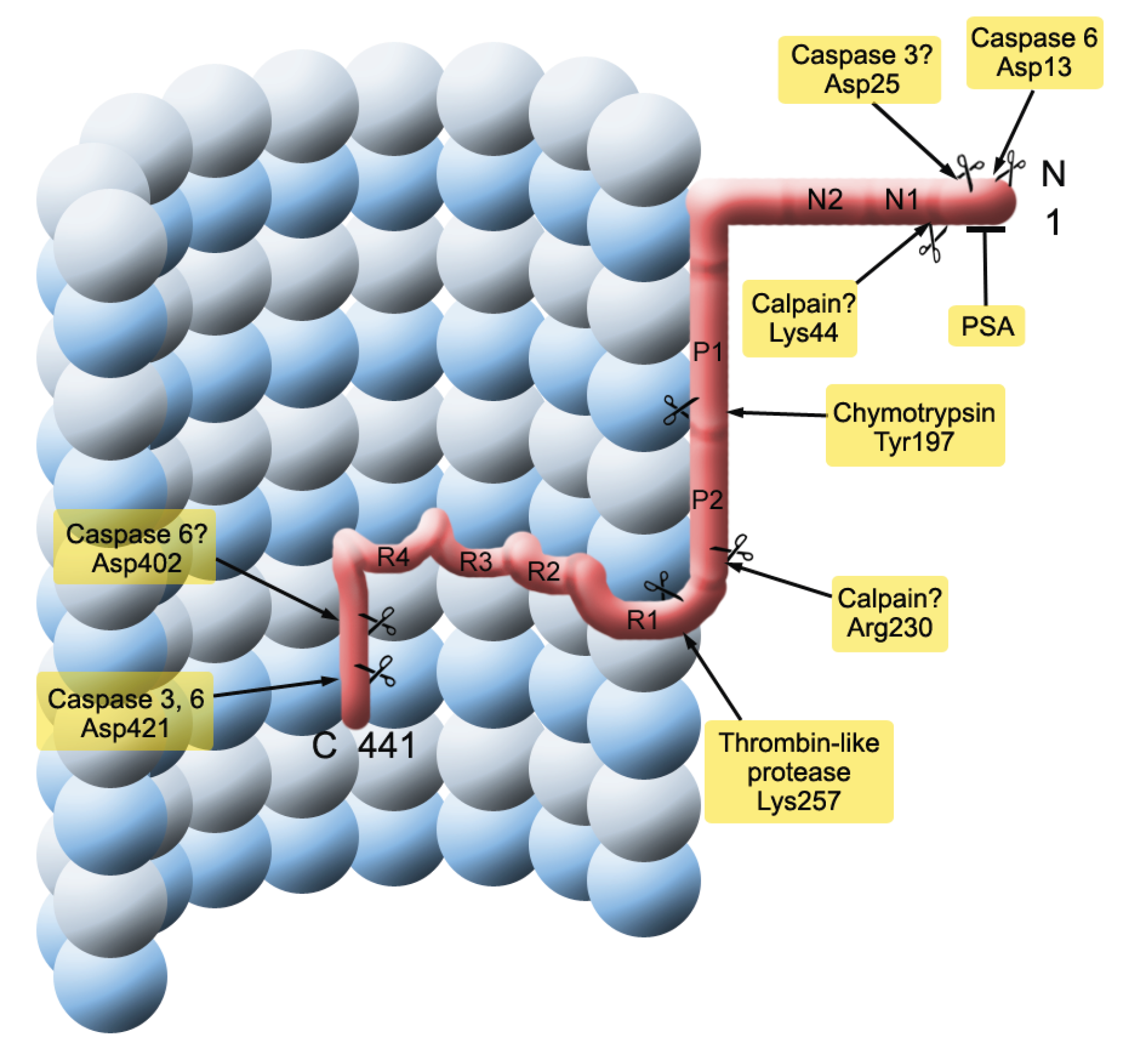 Biomolecules 06 00006 g005