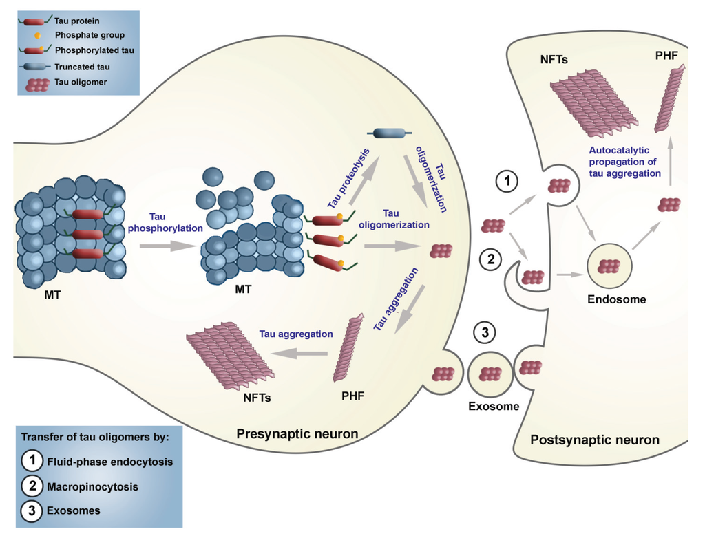 Biomolecules 06 00006 g006 1024