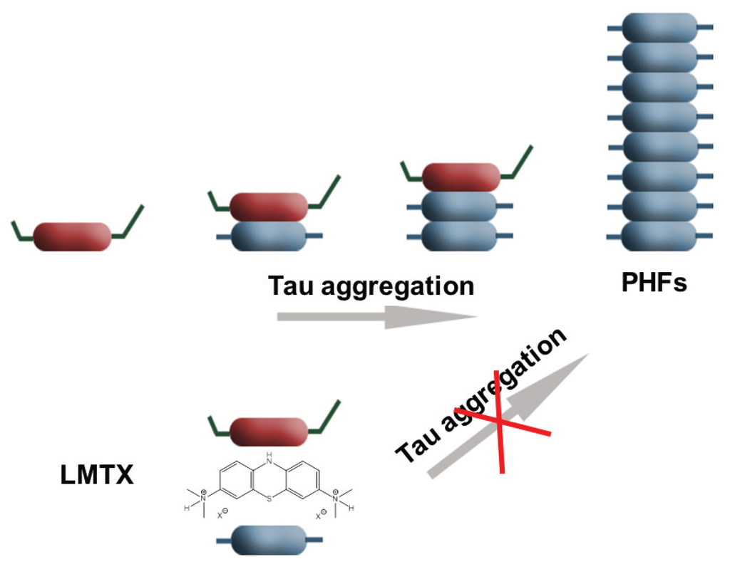 Biomolecules 06 00006 g008 1024