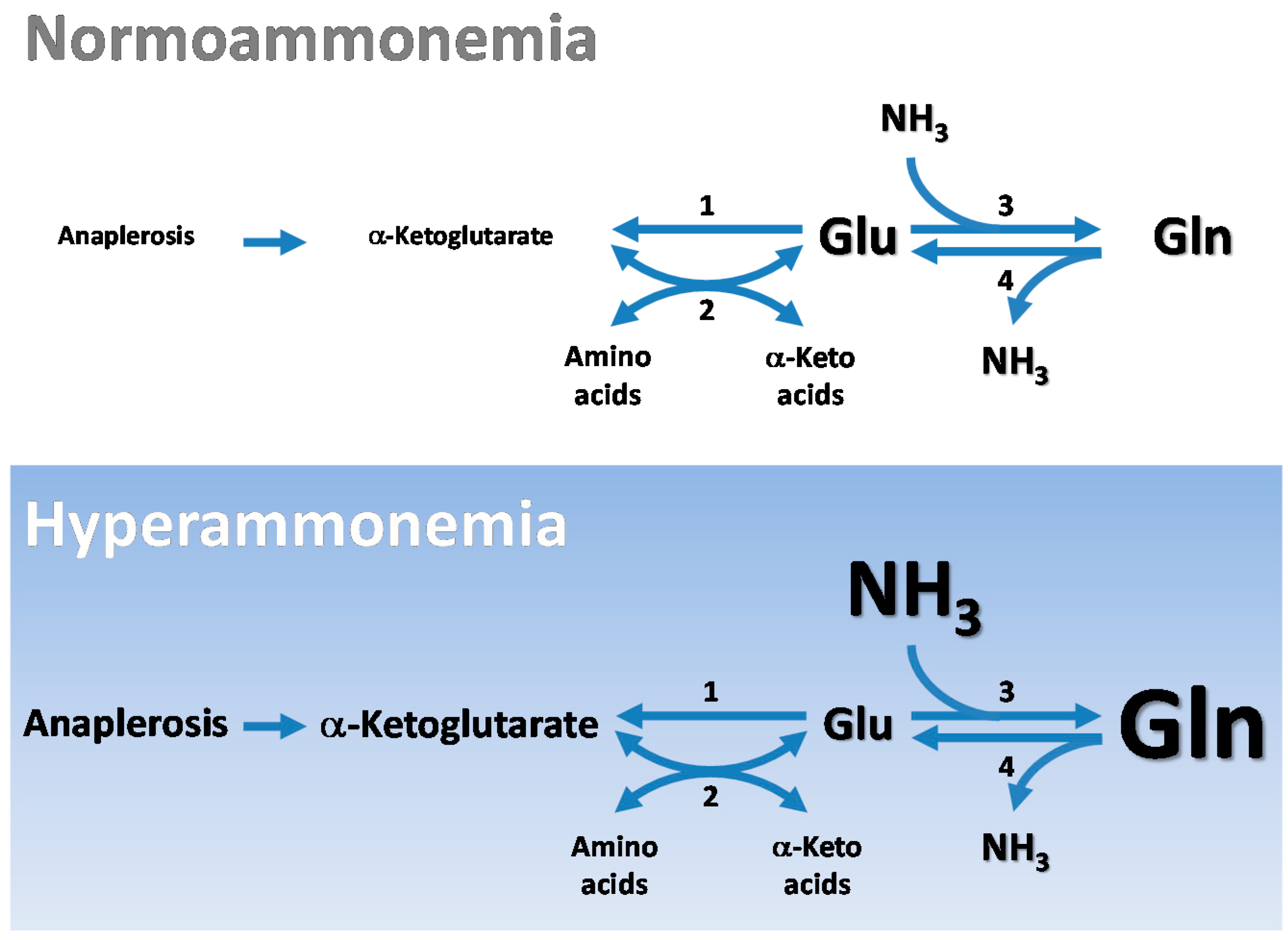 Biomolecules 06 00016 g001