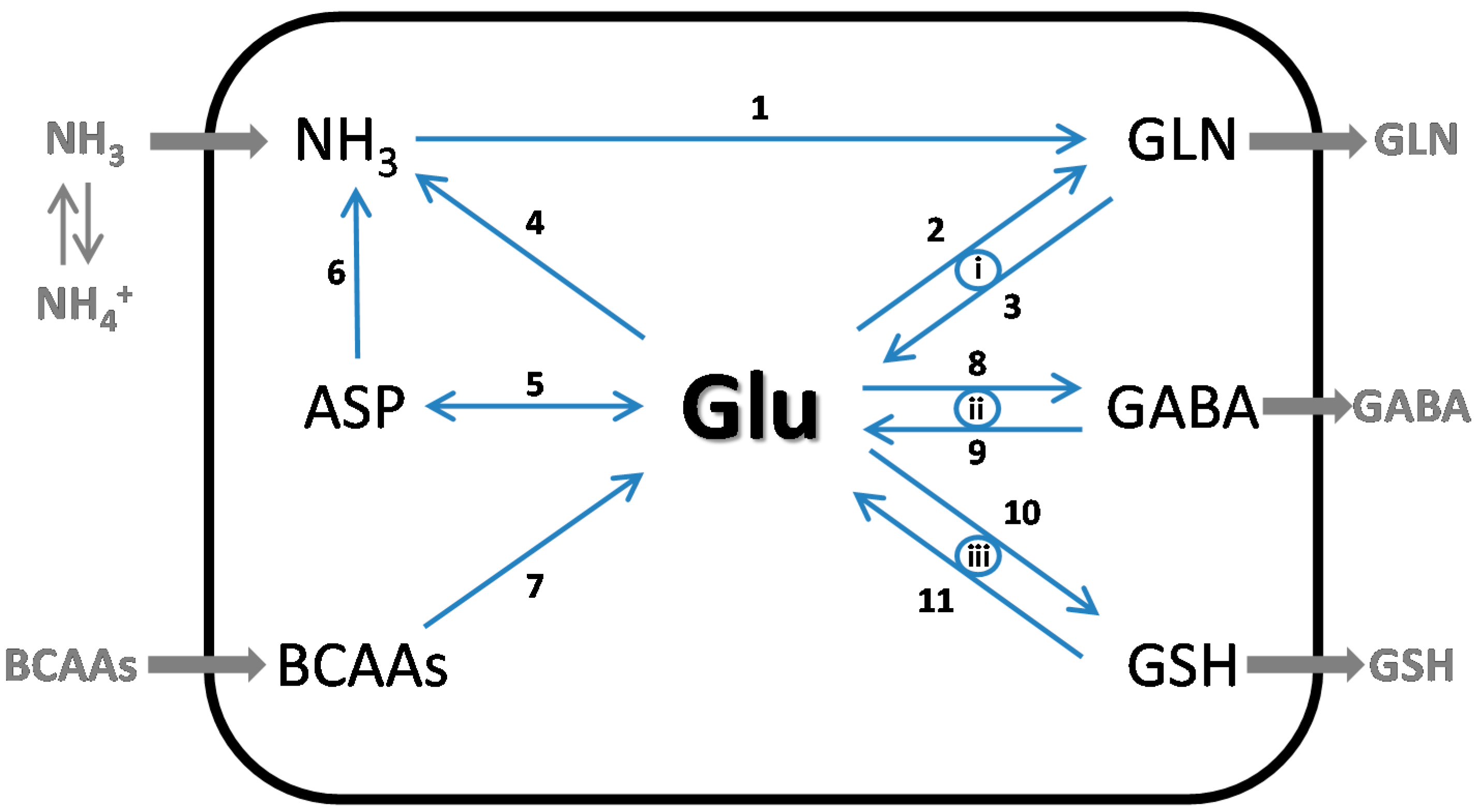 Biomolecules 06 00016 g002