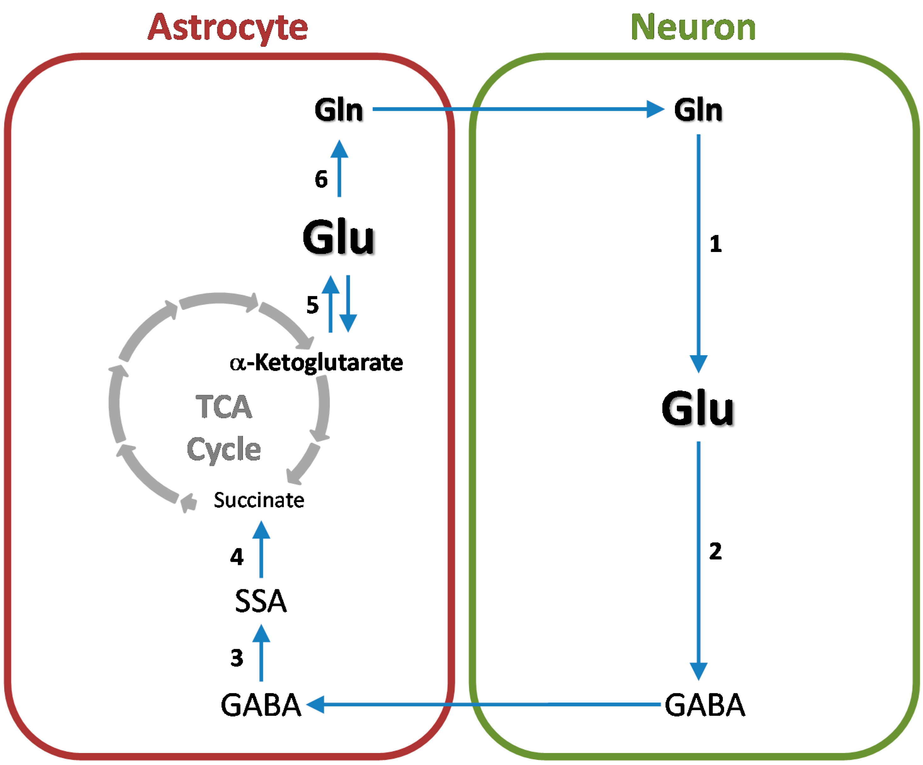 Biomolecules 06 00016 g005