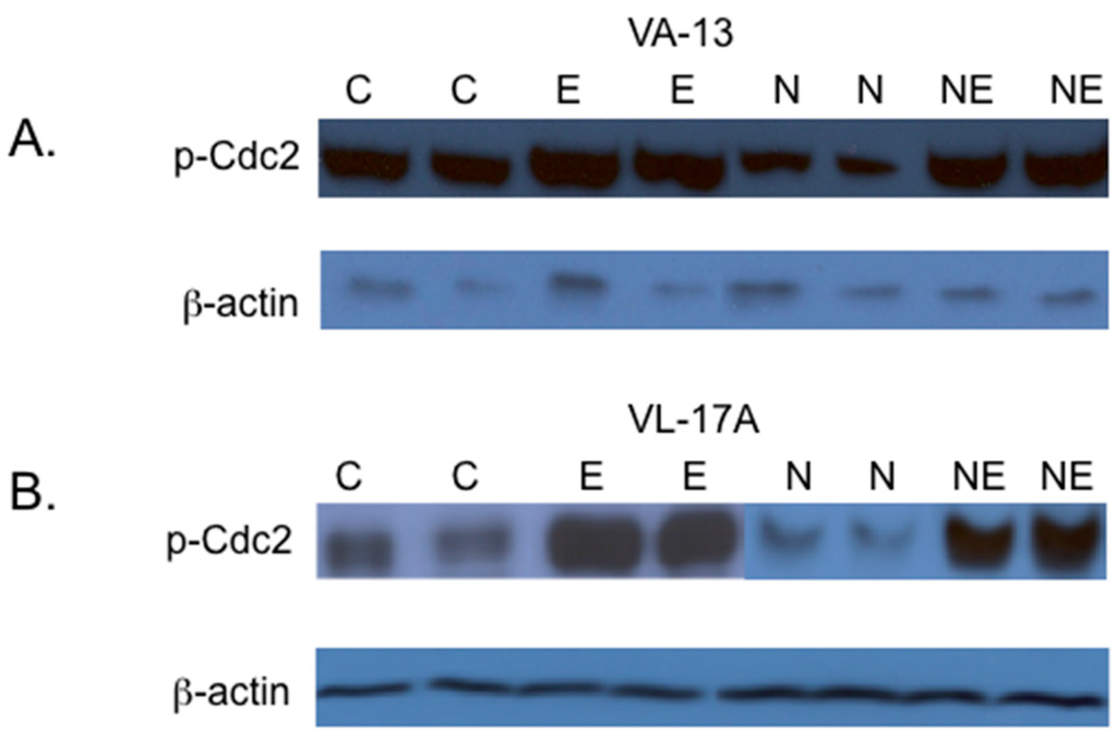 Biomolecules 06 00017 g002 1024