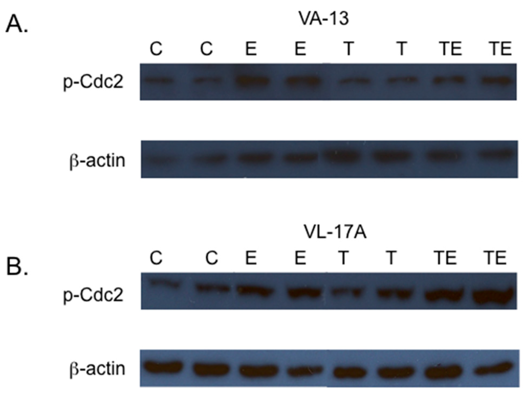 Biomolecules 06 00017 g003 1024