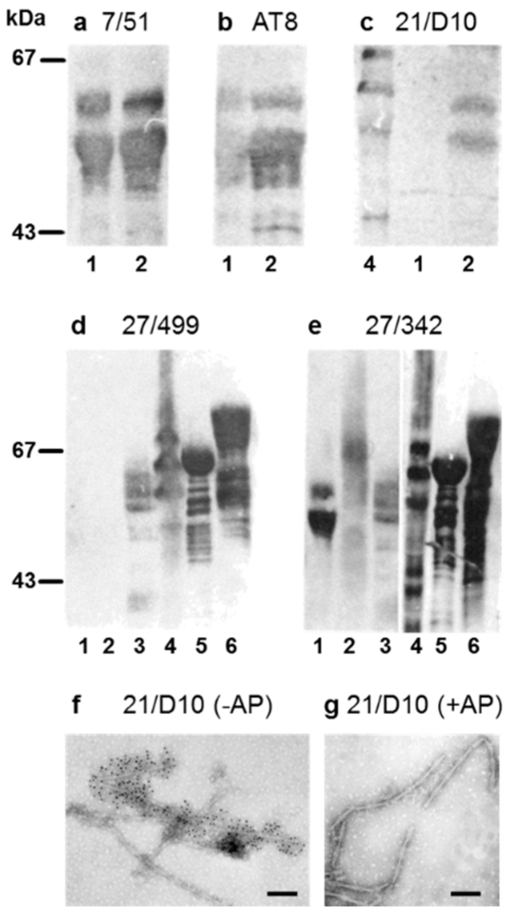 Biomolecules 06 00019 g001 1024