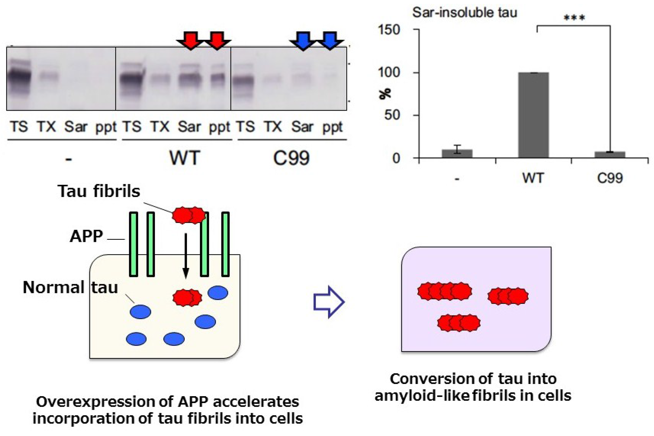 Biomolecules 06 00024 g005