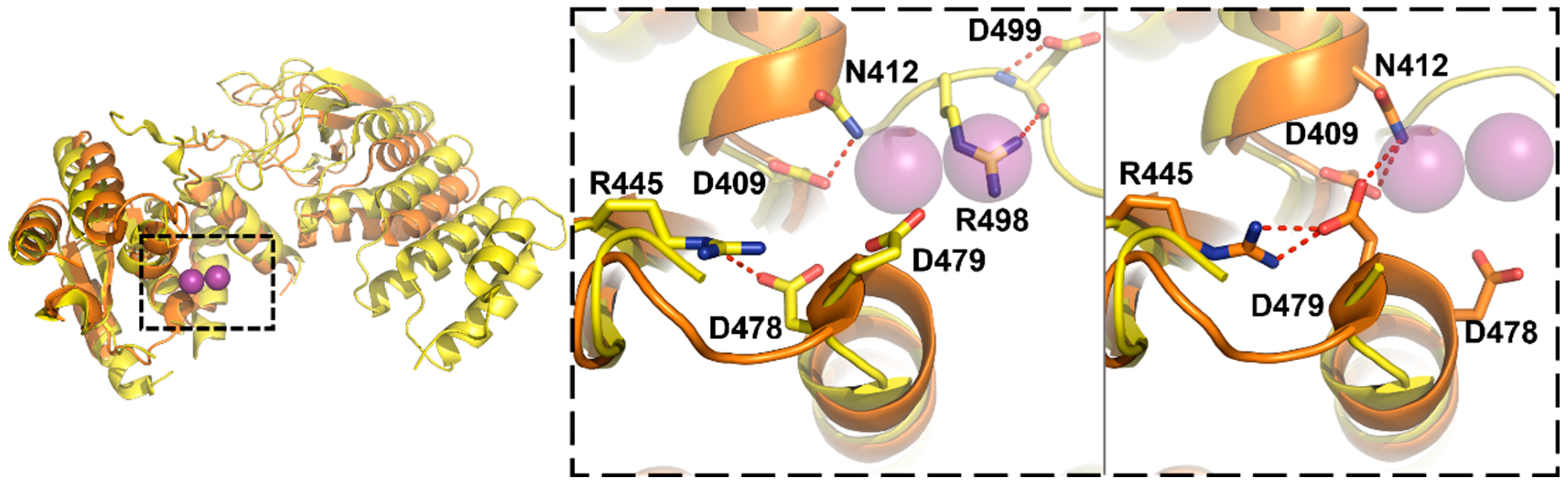 Biomolecules 06 00027 g006
