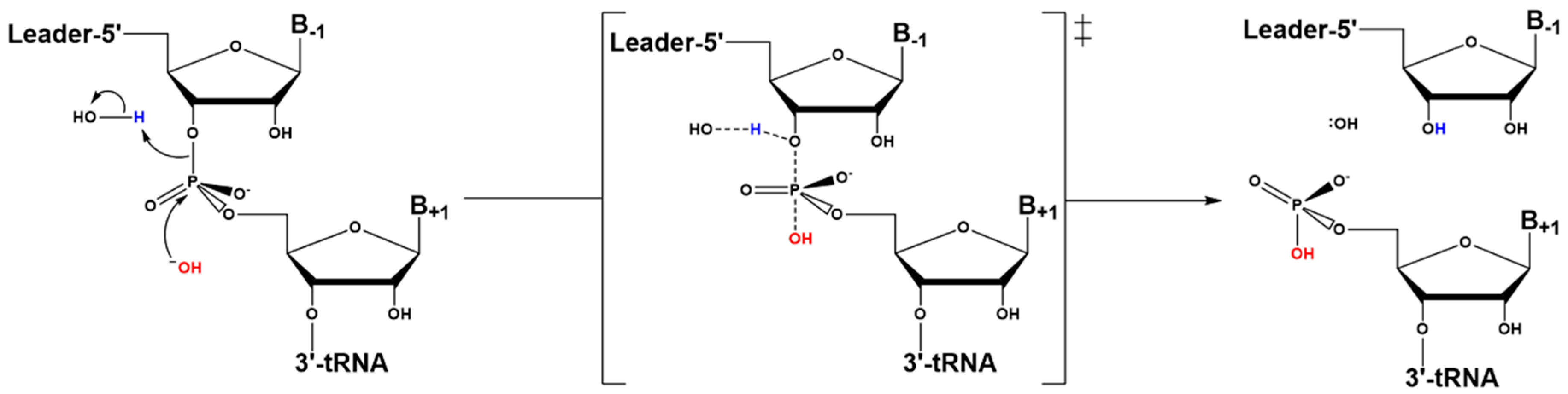 Biomolecules 06 00027 sch002