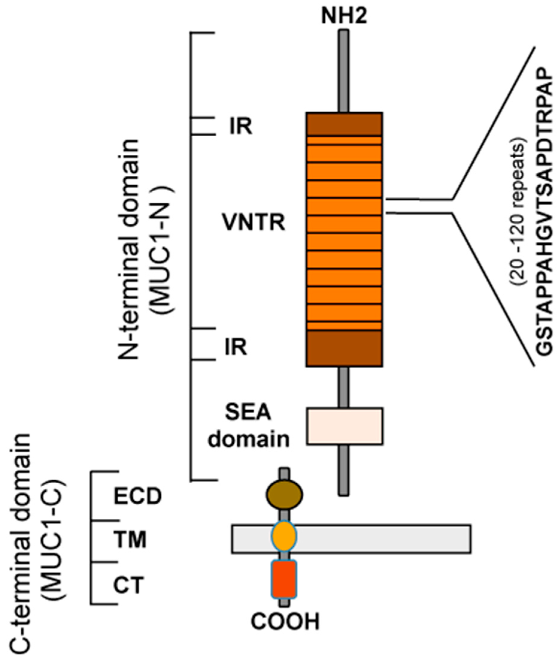 Biomolecules 06 00039 g001