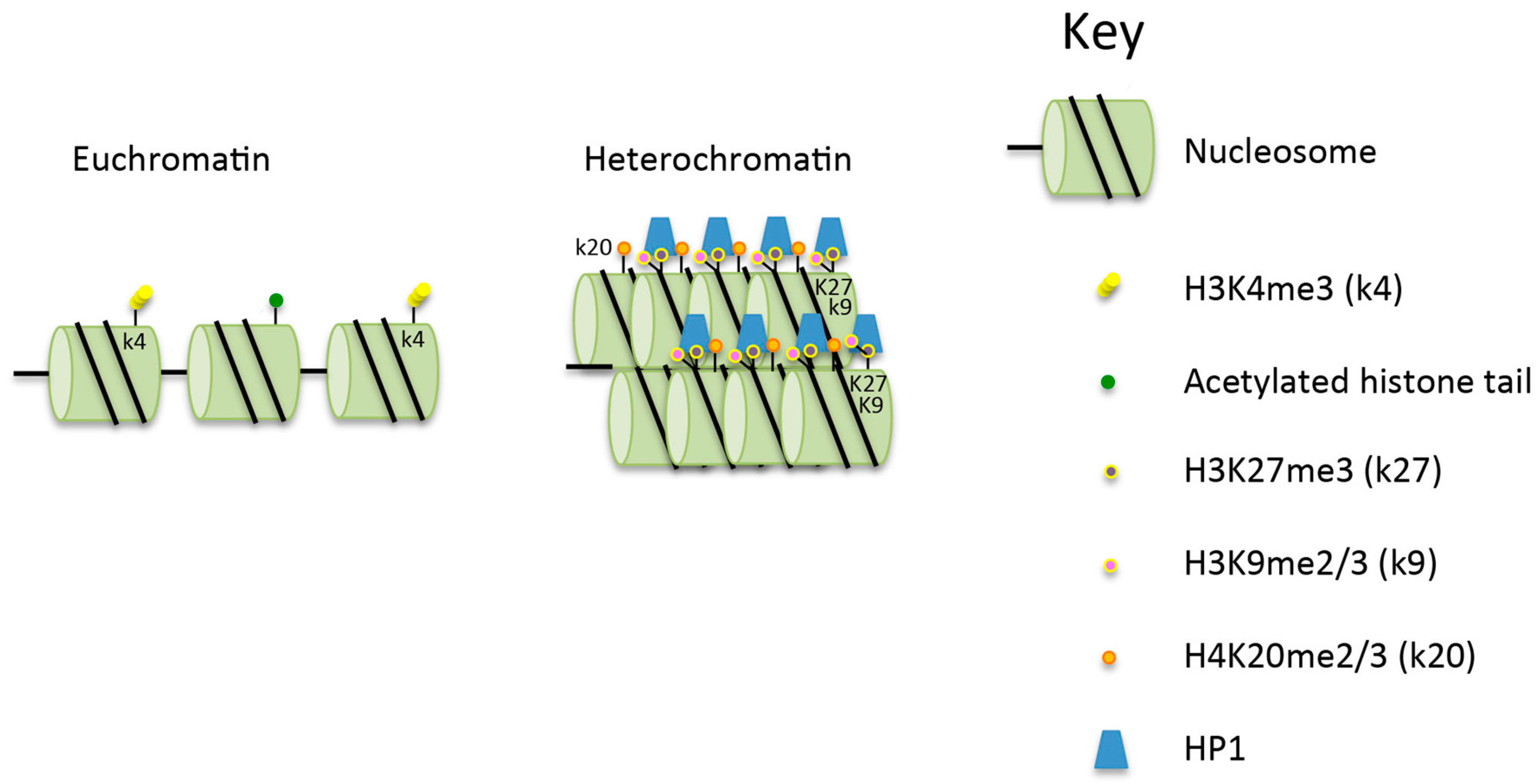 Biomolecules 06 00047 g001