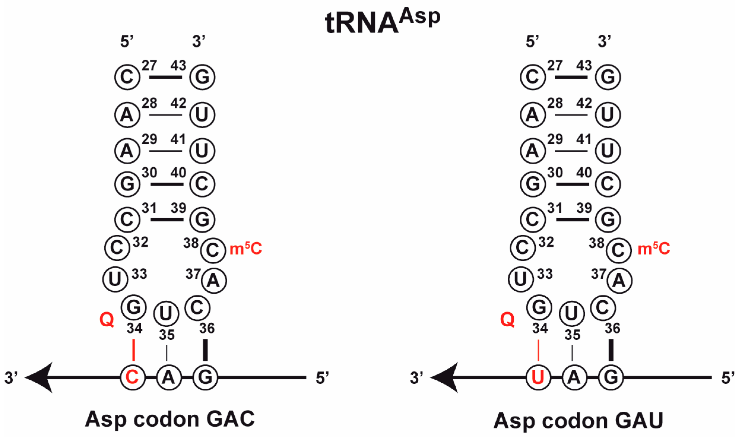 Biomolecules 07 00014 g002