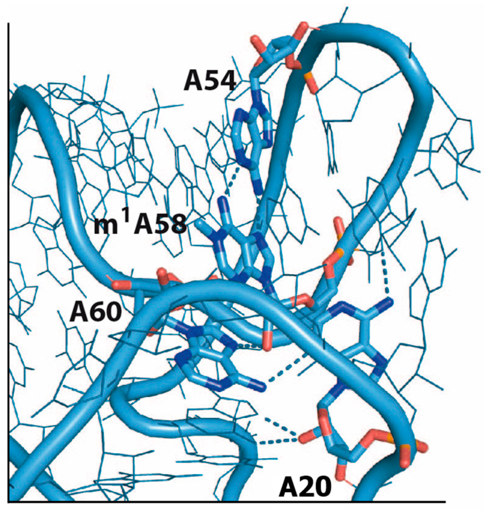 Biomolecules 07 00020 g002