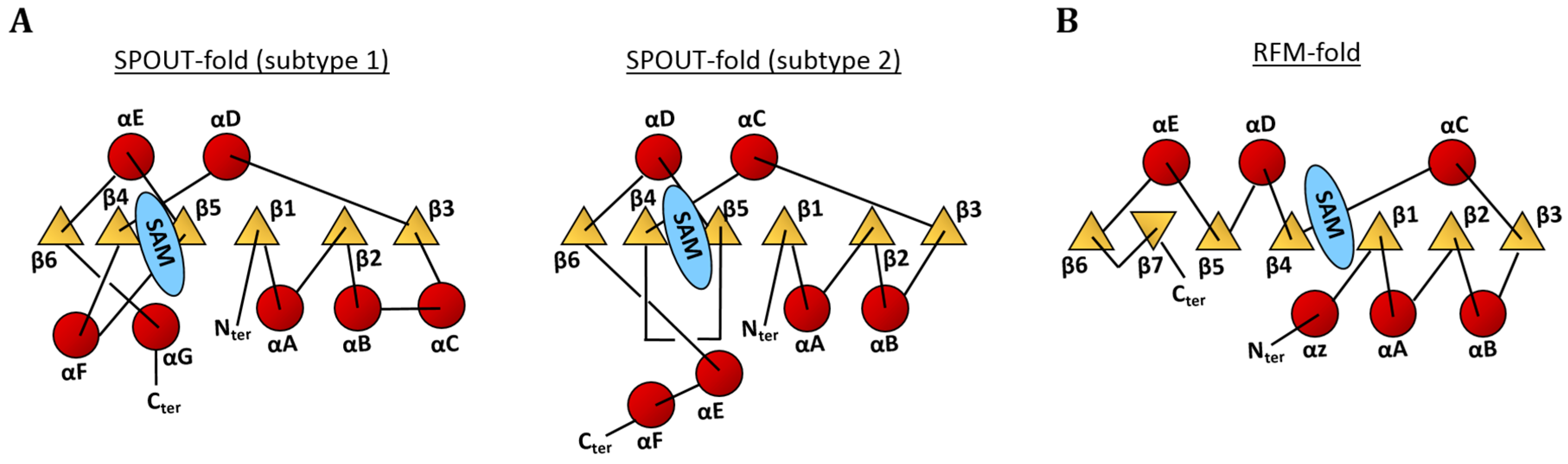 Biomolecules 07 00020 g003