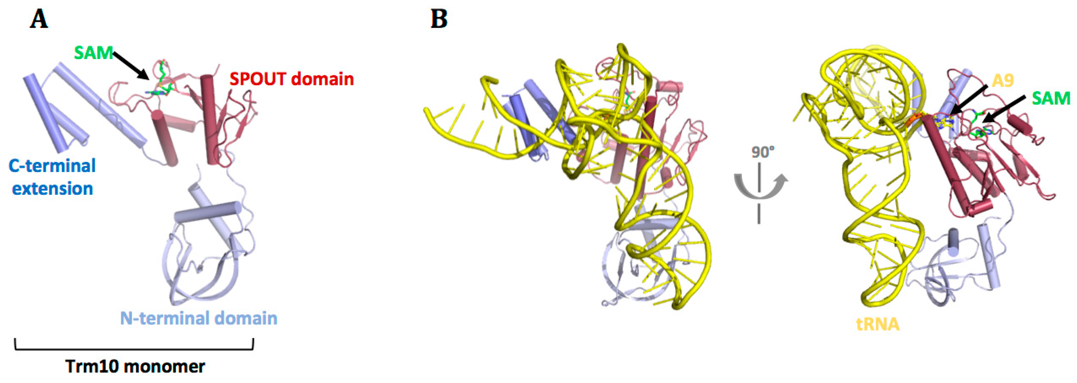 Biomolecules 07 00020 g006
